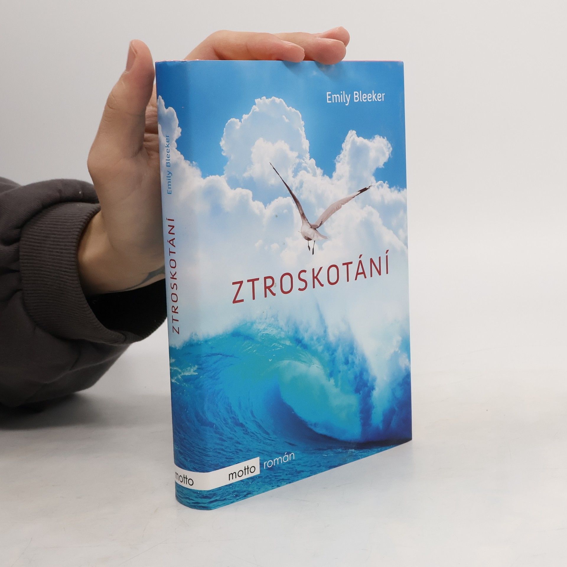 Emily Bleeker Ztroskotání