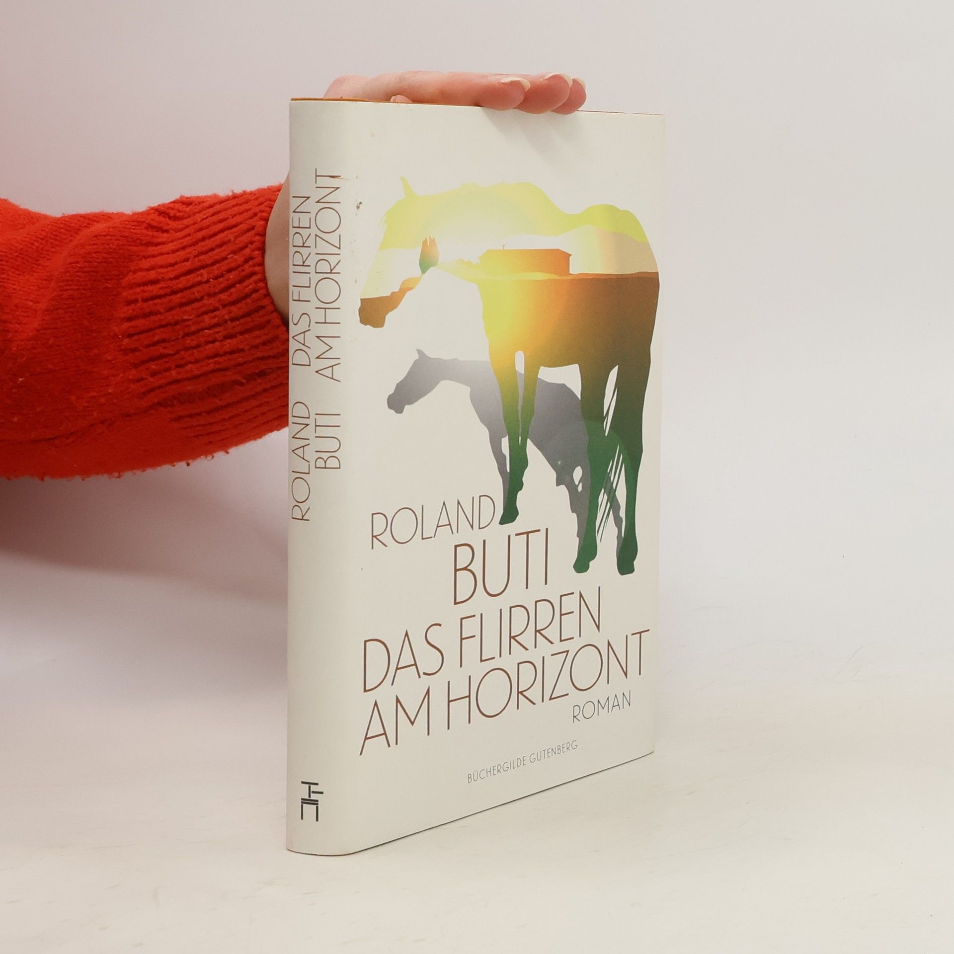 Das Flirren am Horizont