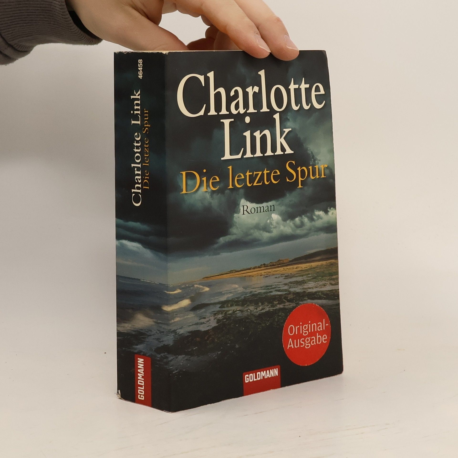 Charlotte Link Die letzte Spur