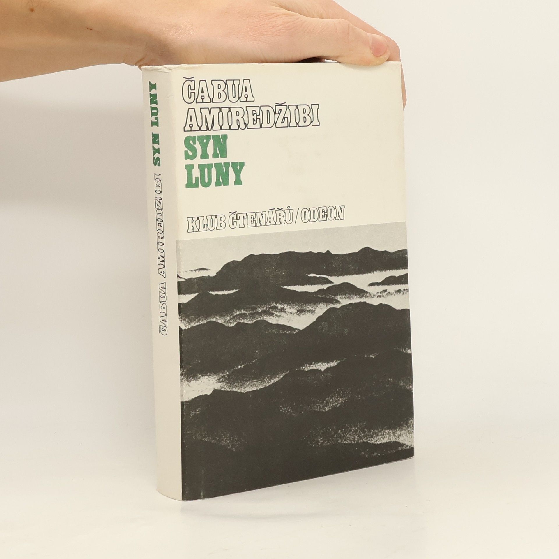 Čabua Amireǧibi Syn luny