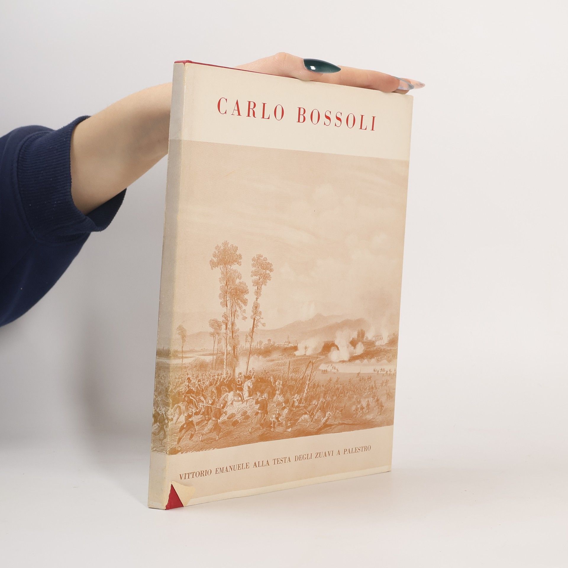 AA.VV. Carlo Bossoli