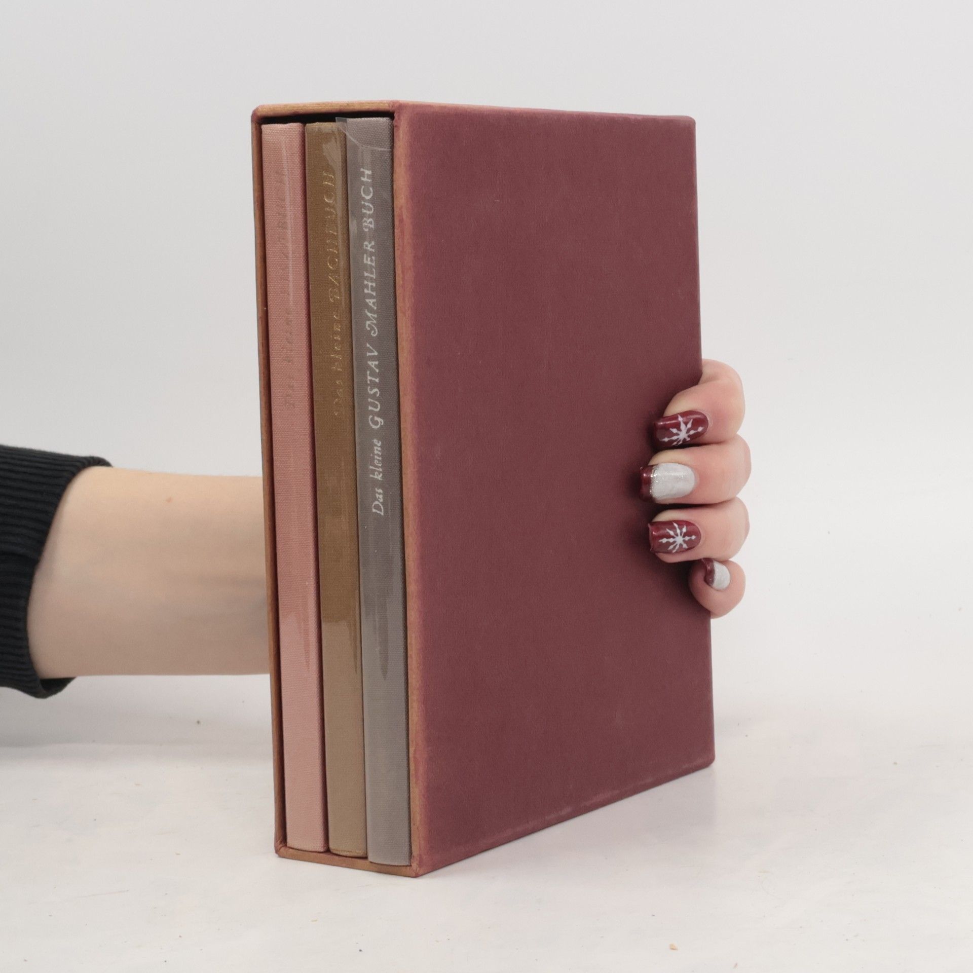 Karl Schumann Das kleine Lisztbuch