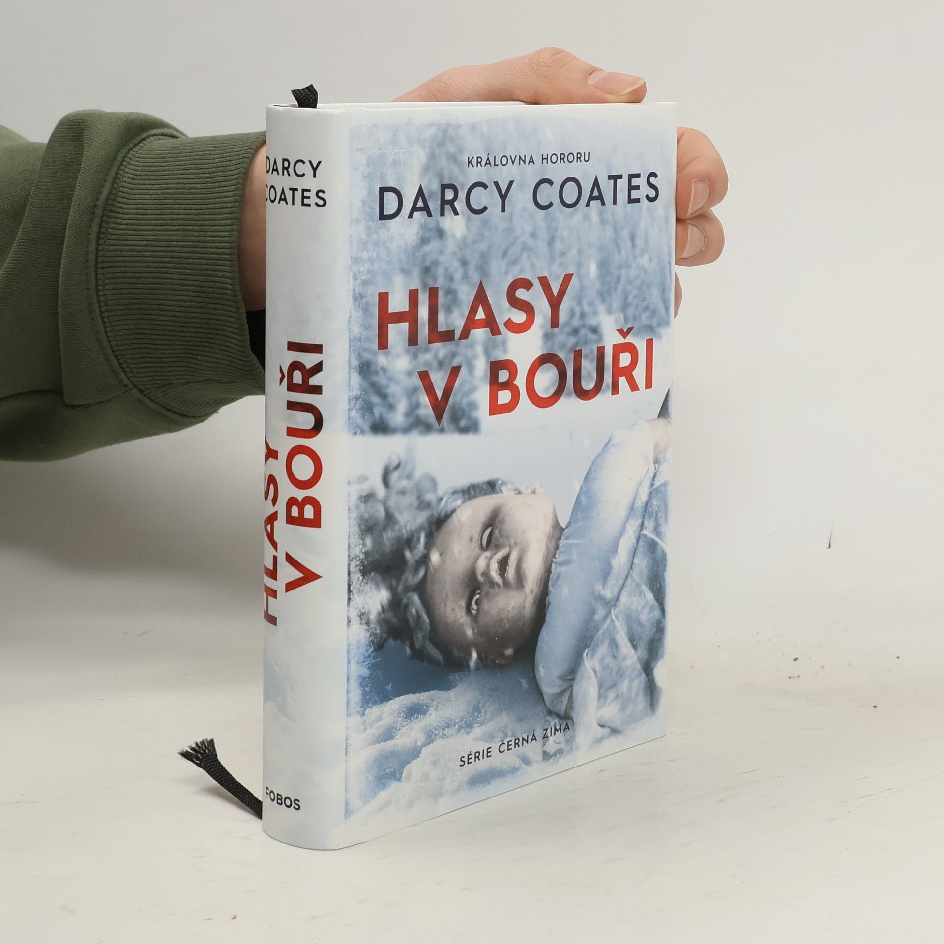 Darcy Coates Hlasy v bouři