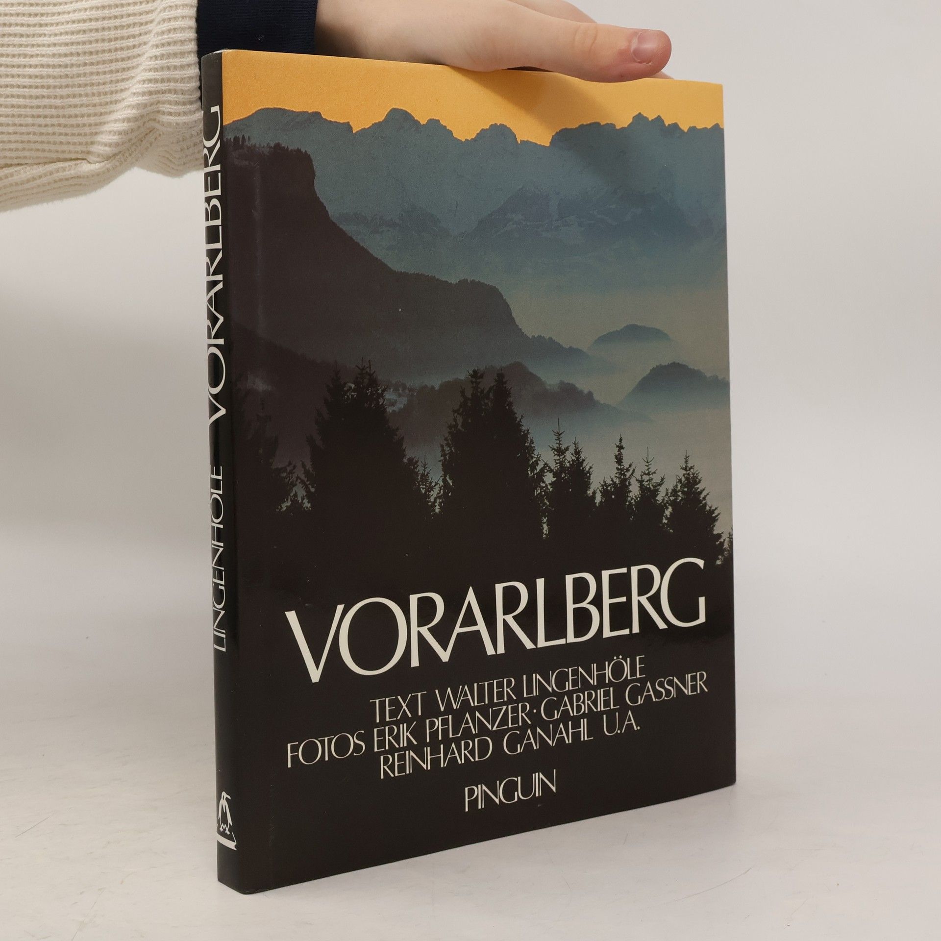 Walter Lingenhöle Vorarlberg
