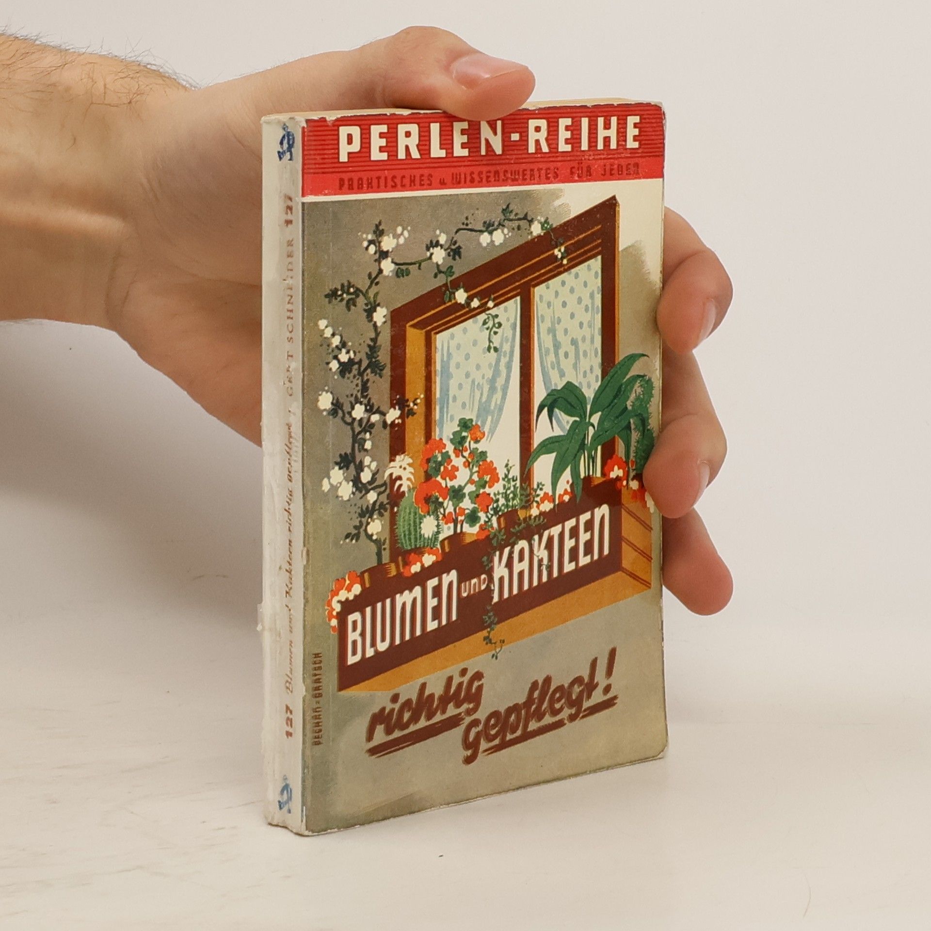 Gert Schneider Blumen und Kakteen