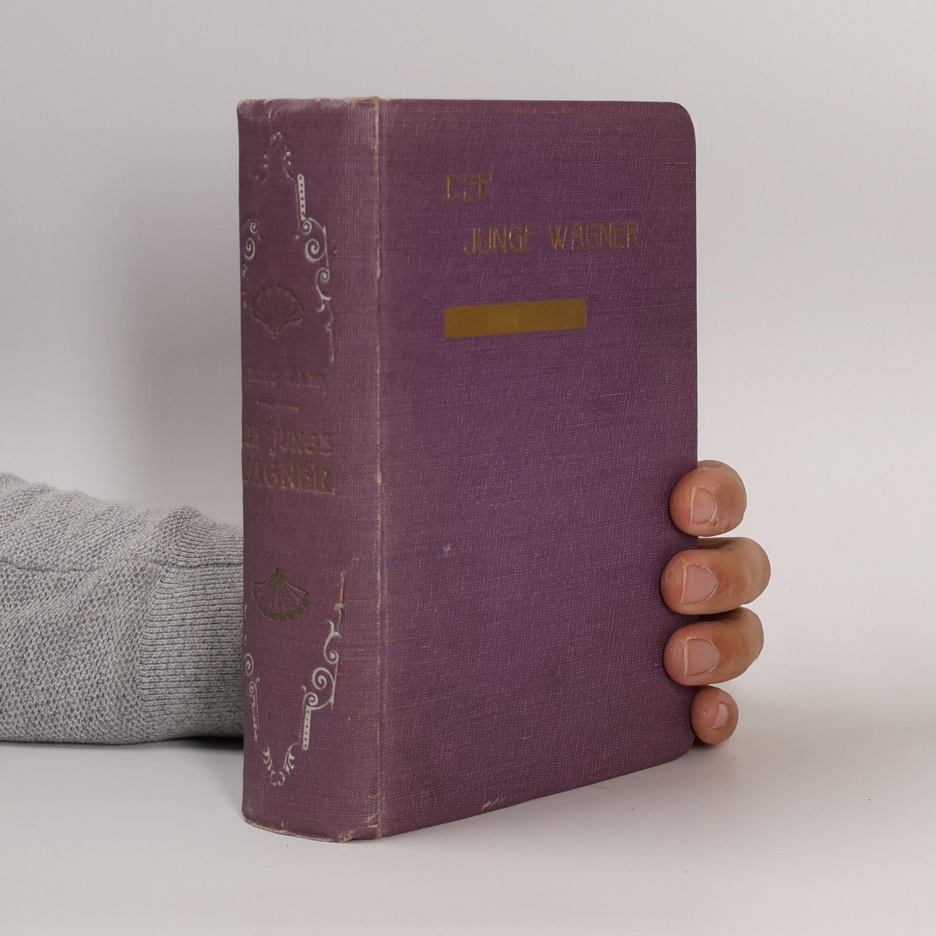 Richard Wagner Der Junge Wagner