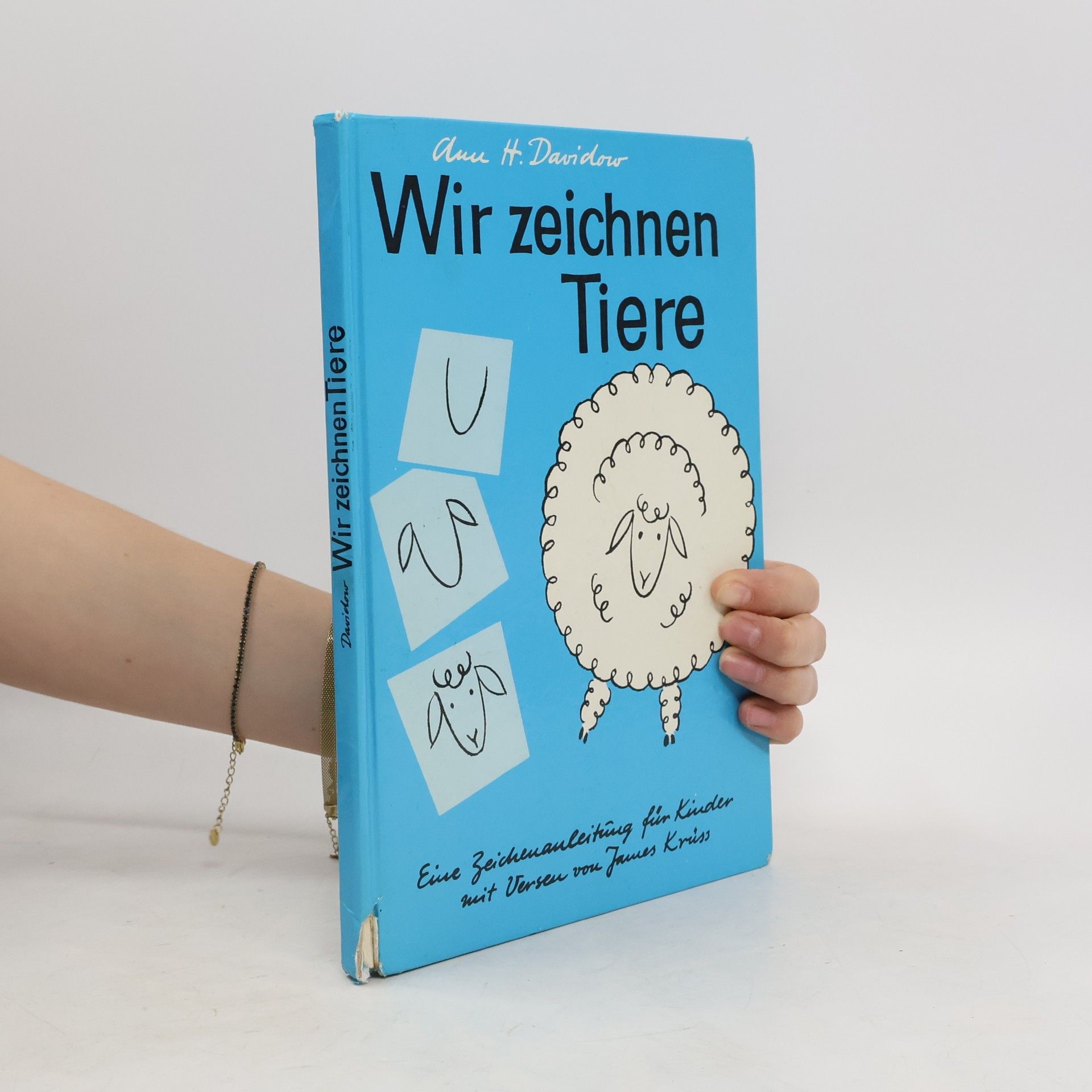 Ann Davidow Wir zeichnen Tiere