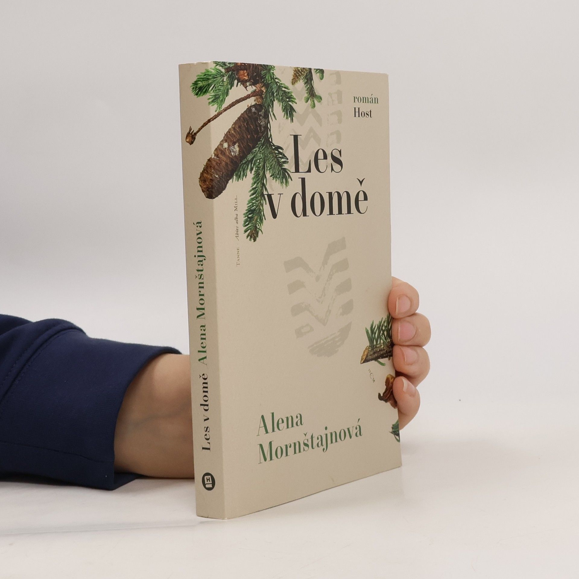 Alena Mornštajnová Les v domě