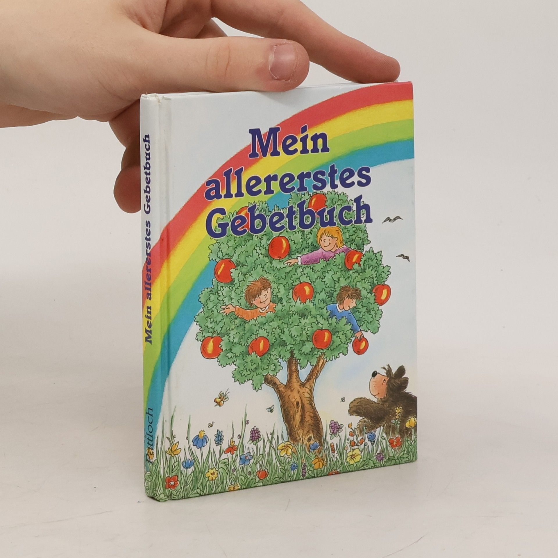 Auteurscollectief Mein allererstes Gebetbuch