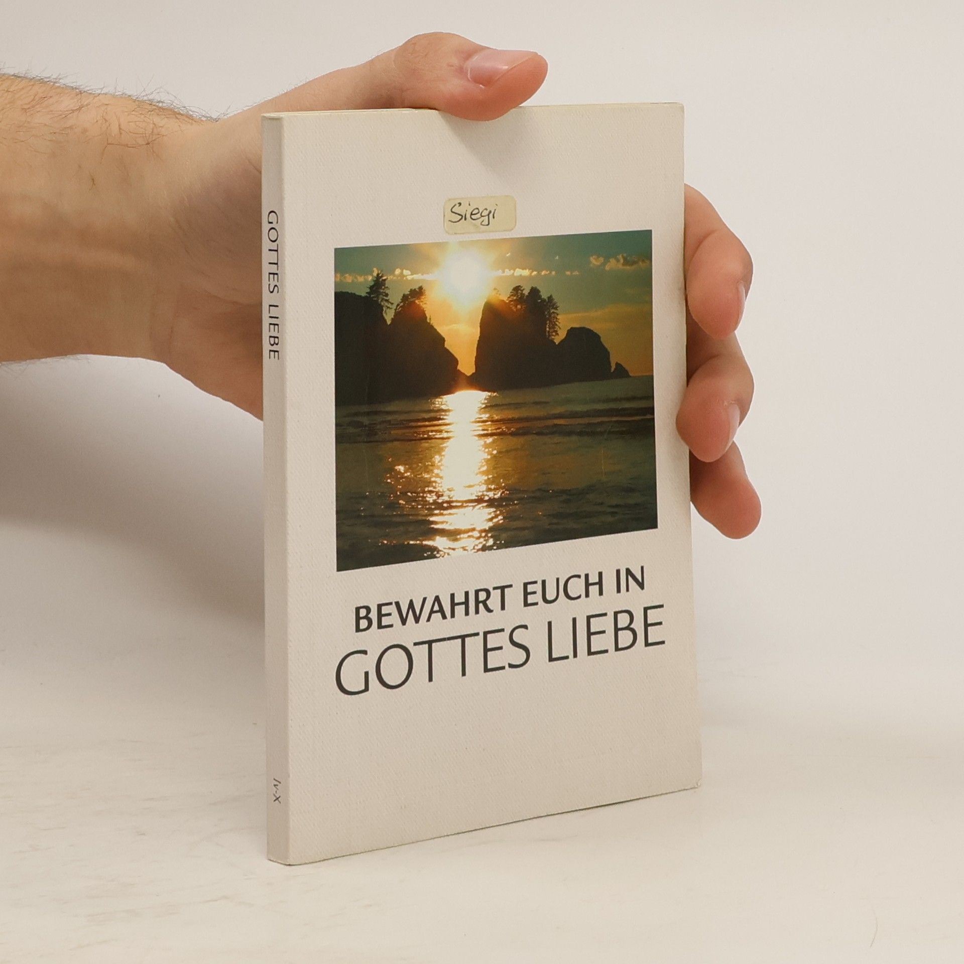 Auteurscollectief Bewahrt euch in Gottes Liebe