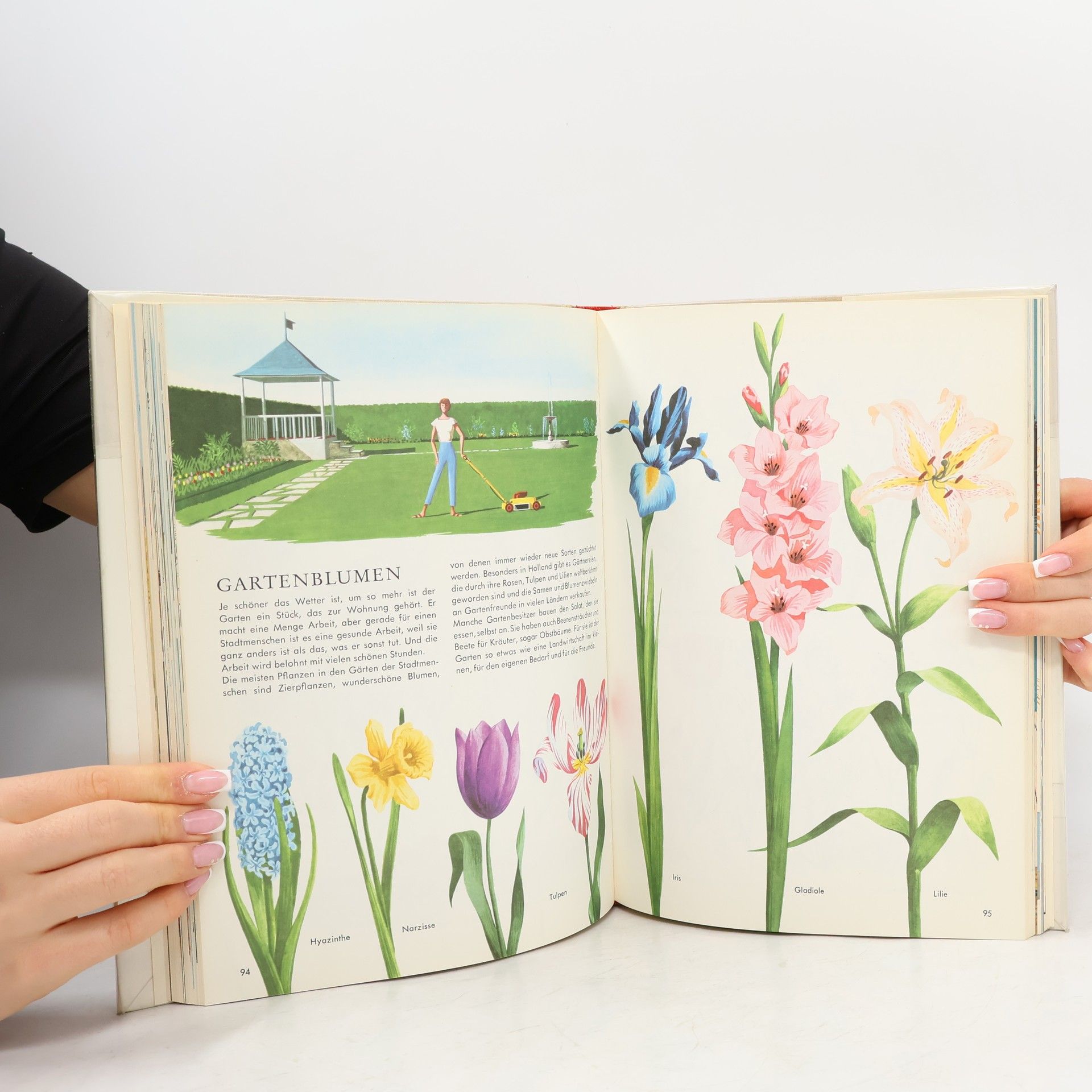 Autorenkollektiv Knaurs Kinderbuch in Farben