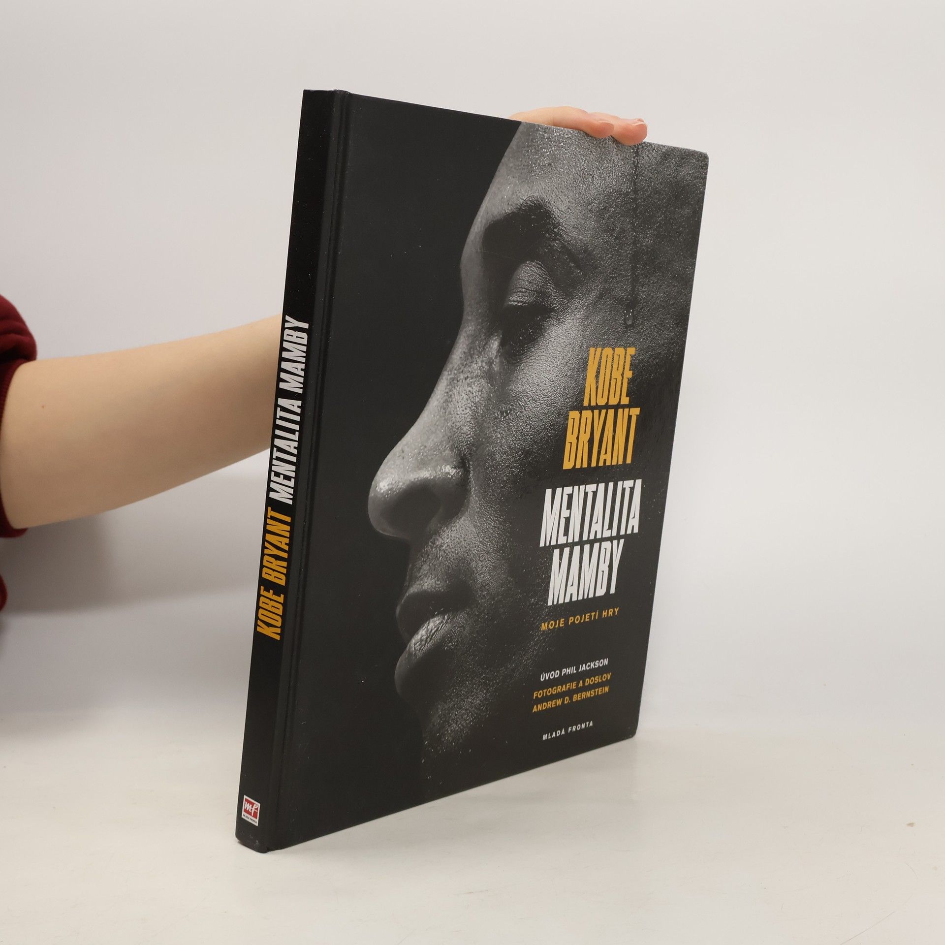 Mentalita mamby : moje pojetí hry