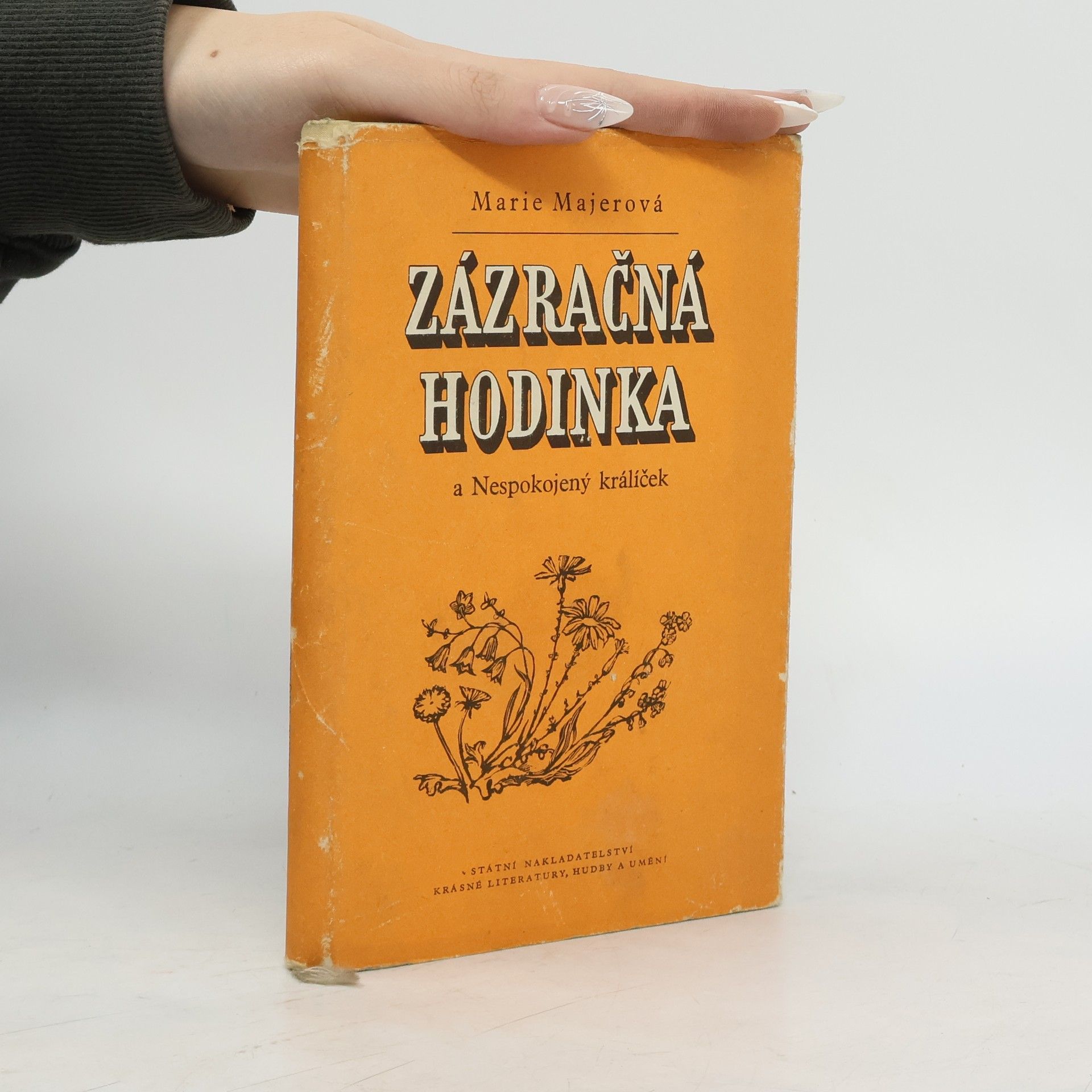 Zázračná hodinka a nespokojený králíček