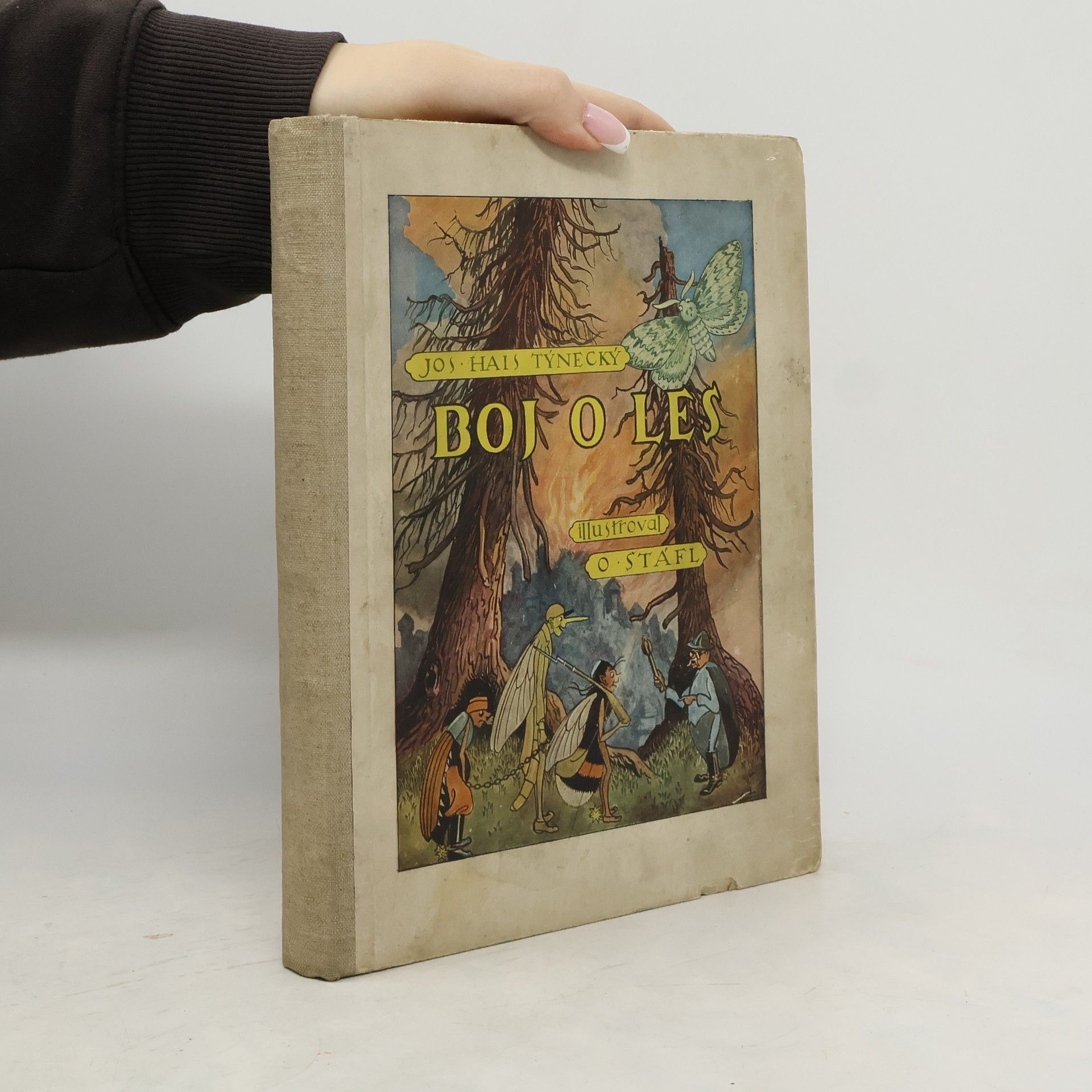 Josef Hais Týnecký Boj o les