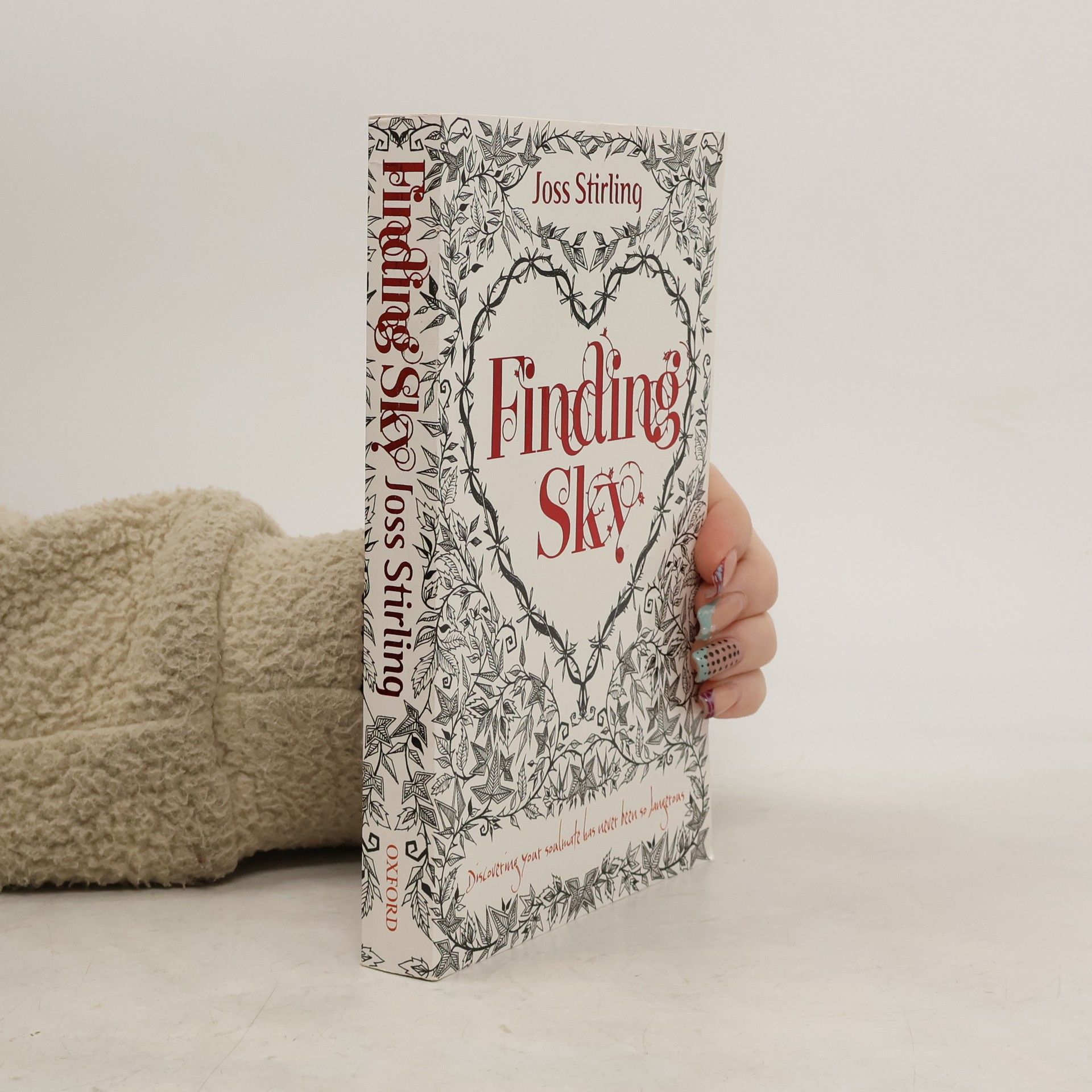 Julia Golding Finding Sky