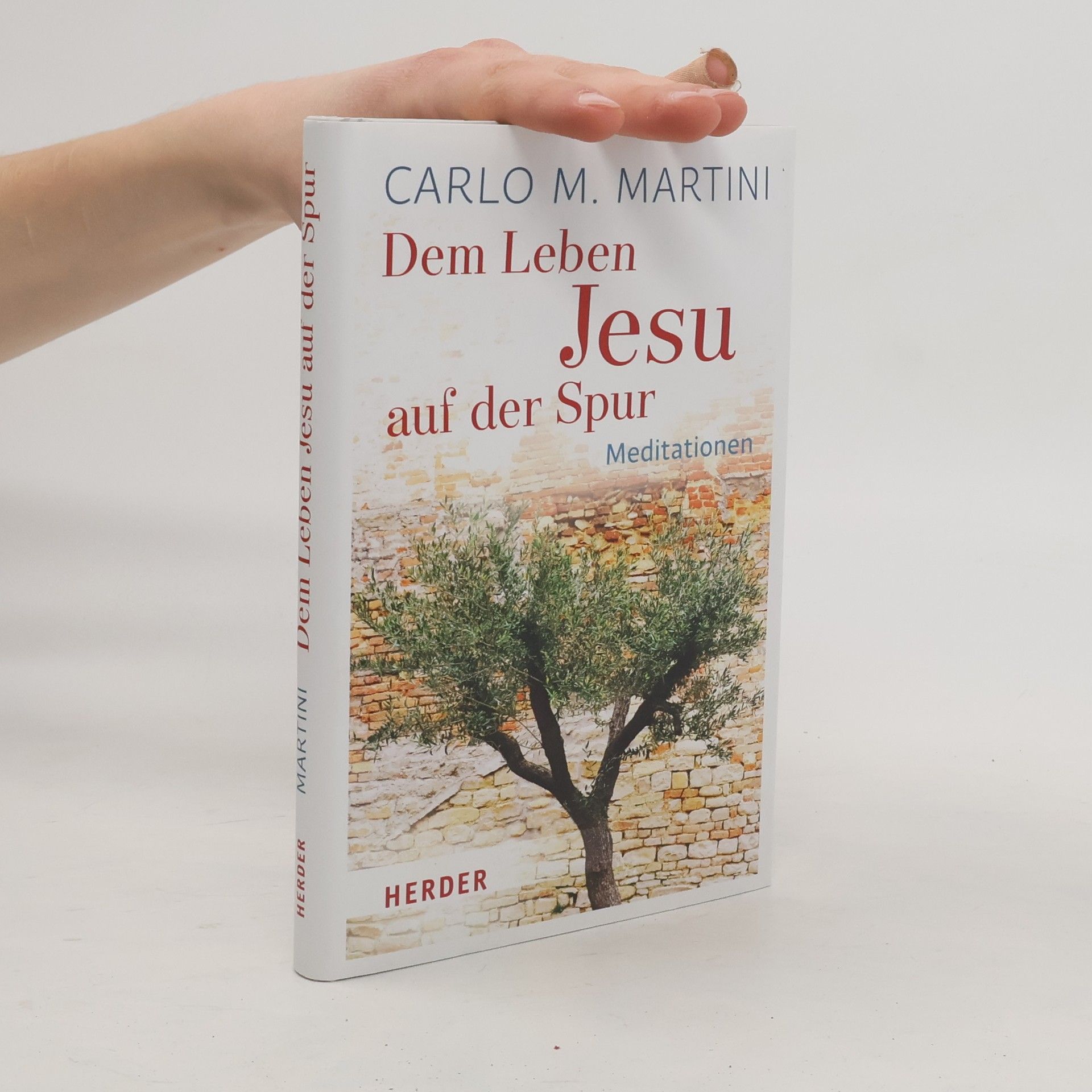 Carlo Maria Martini Dem Leben Jesu auf der Spur