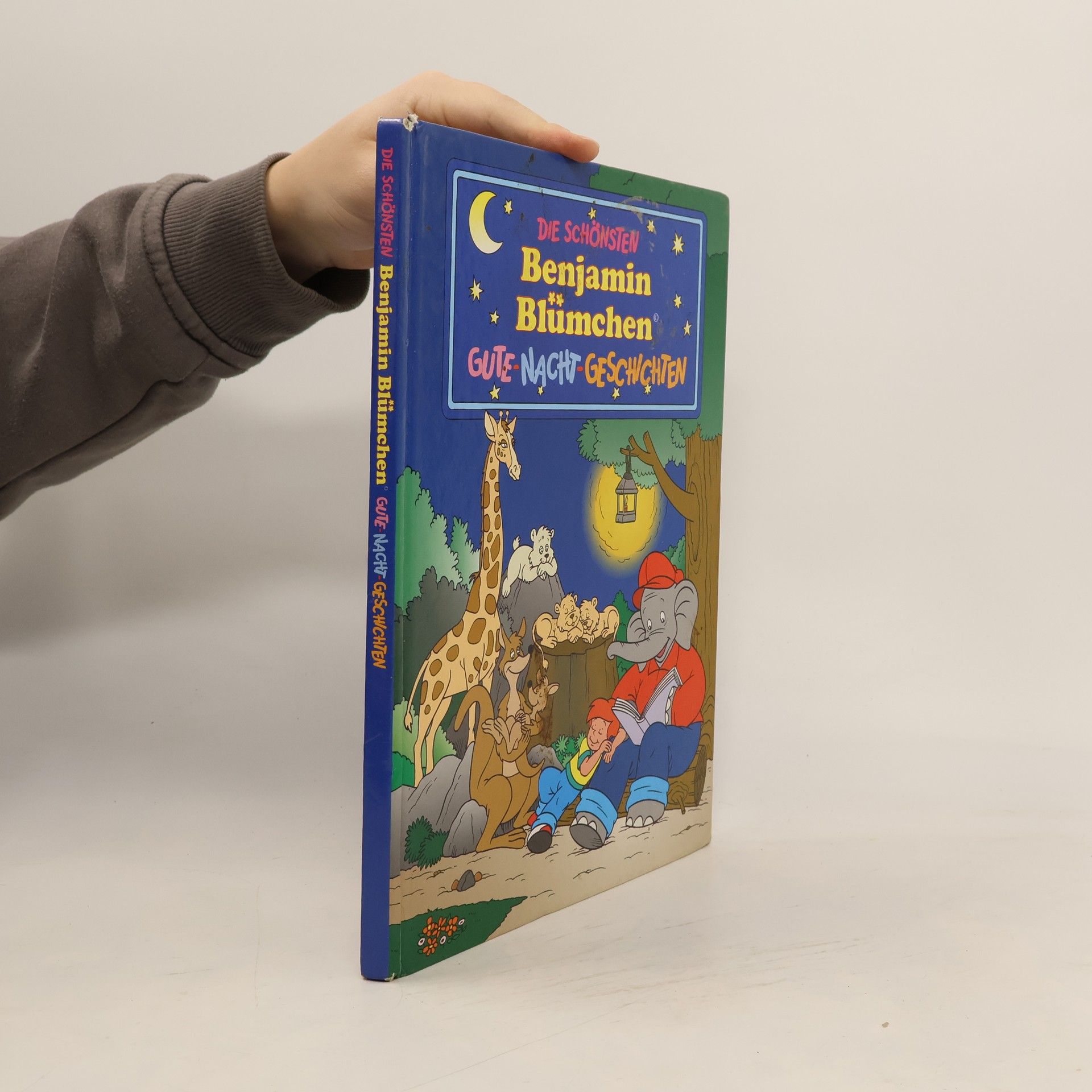 Die Schönsten Benjamin Blümchen Gute Nacht Geschichten