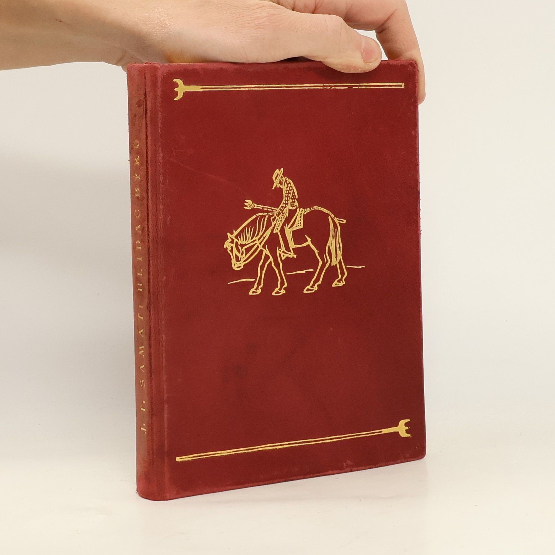 Jean Toussaint-Samat Hlídač býků