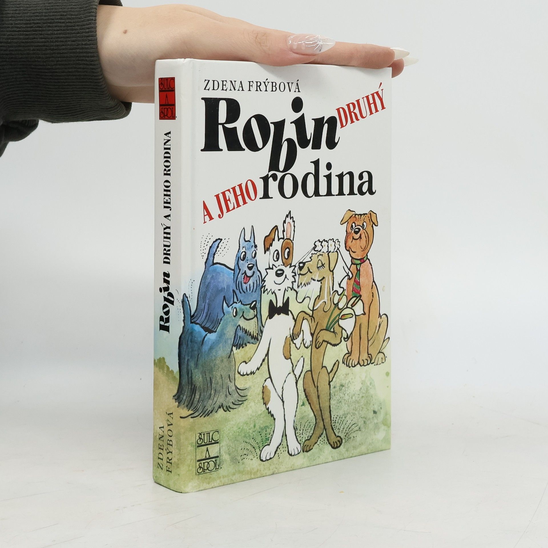 Zdena Frýbová Robin Druhý a jeho rodina