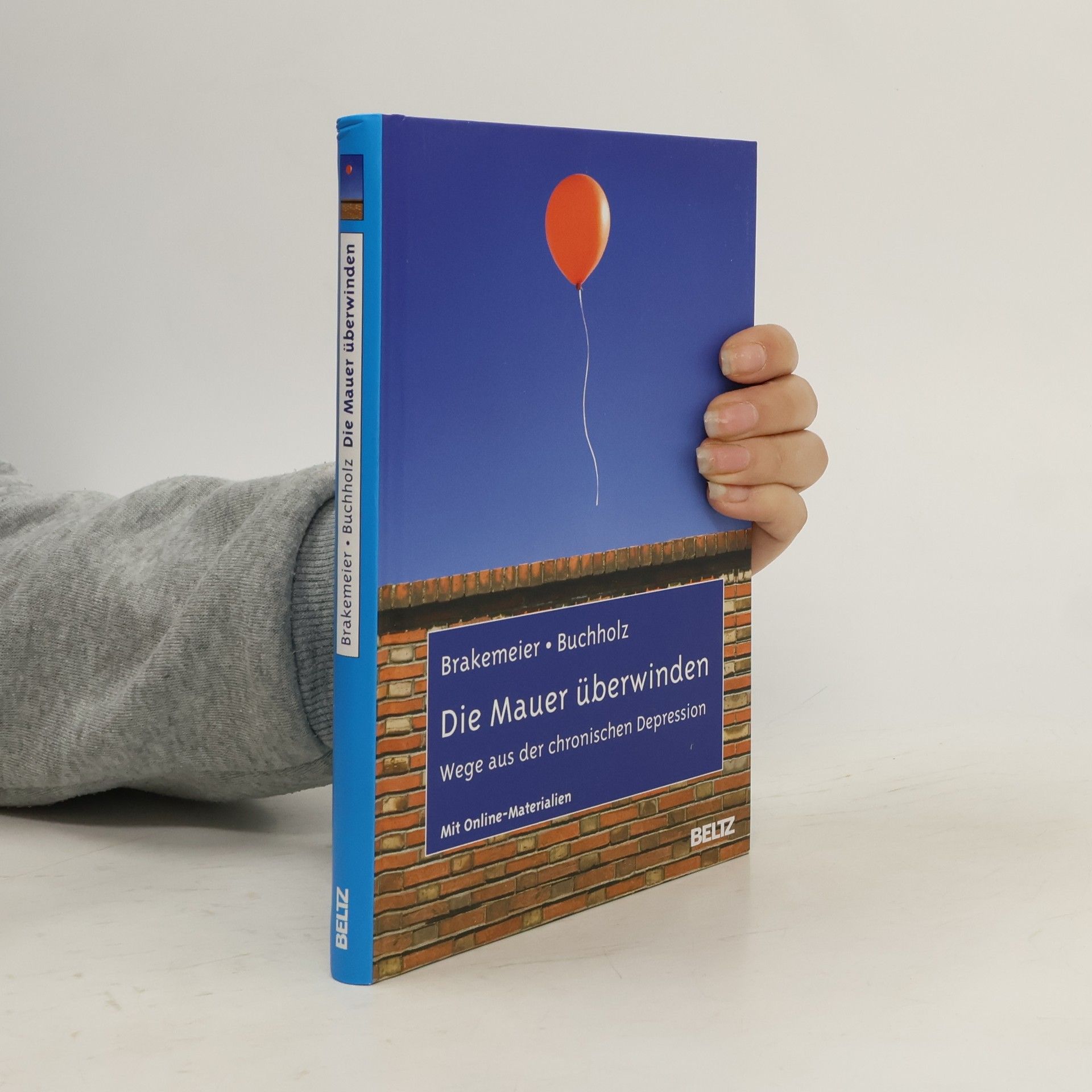 Die Mauer überwinden