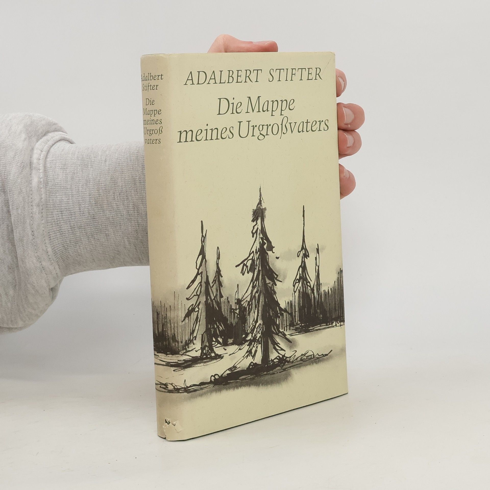 Adalbert Stifter Die Mappe meines Urgroßvaters