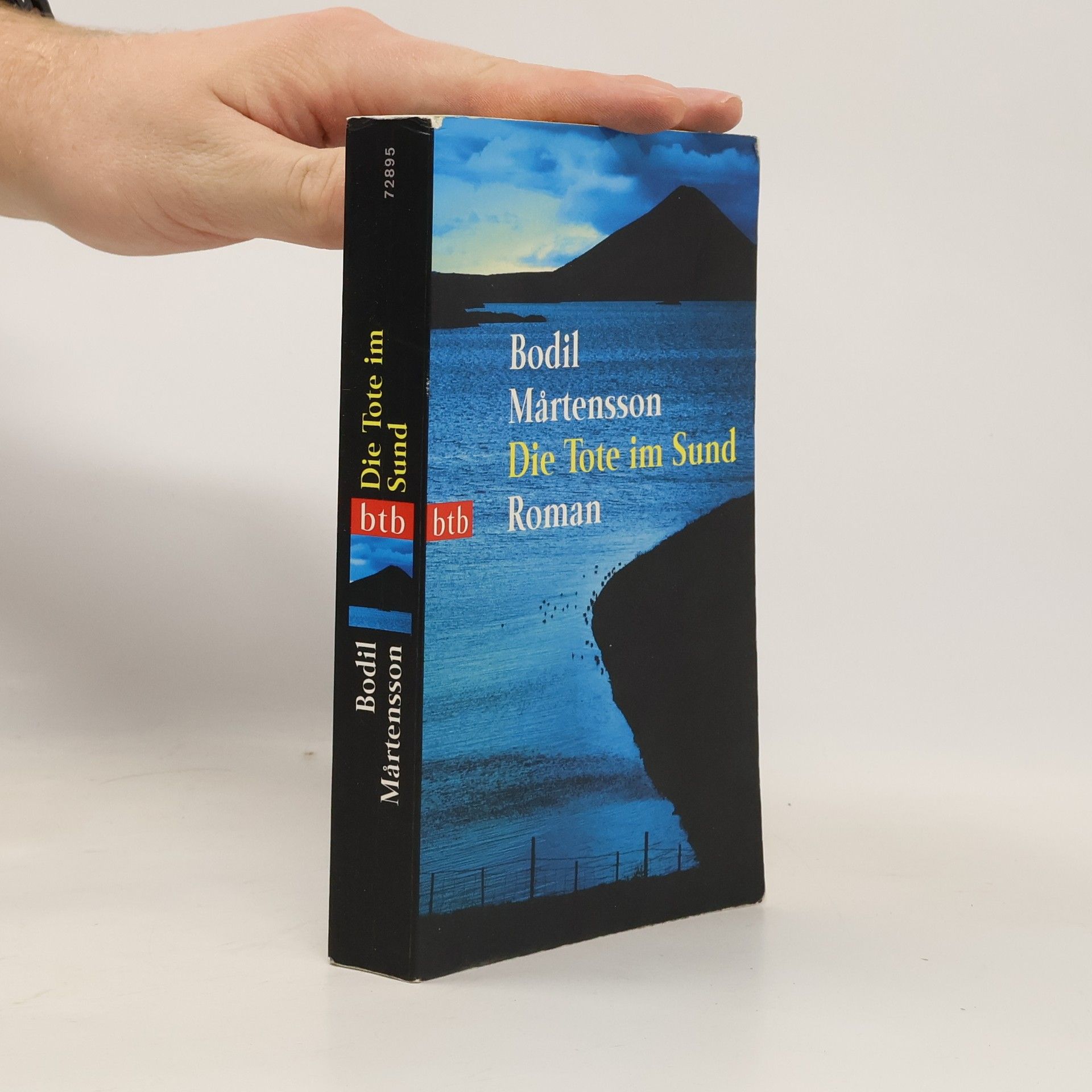 Bodil Mårtensson Die Tote im Sund
