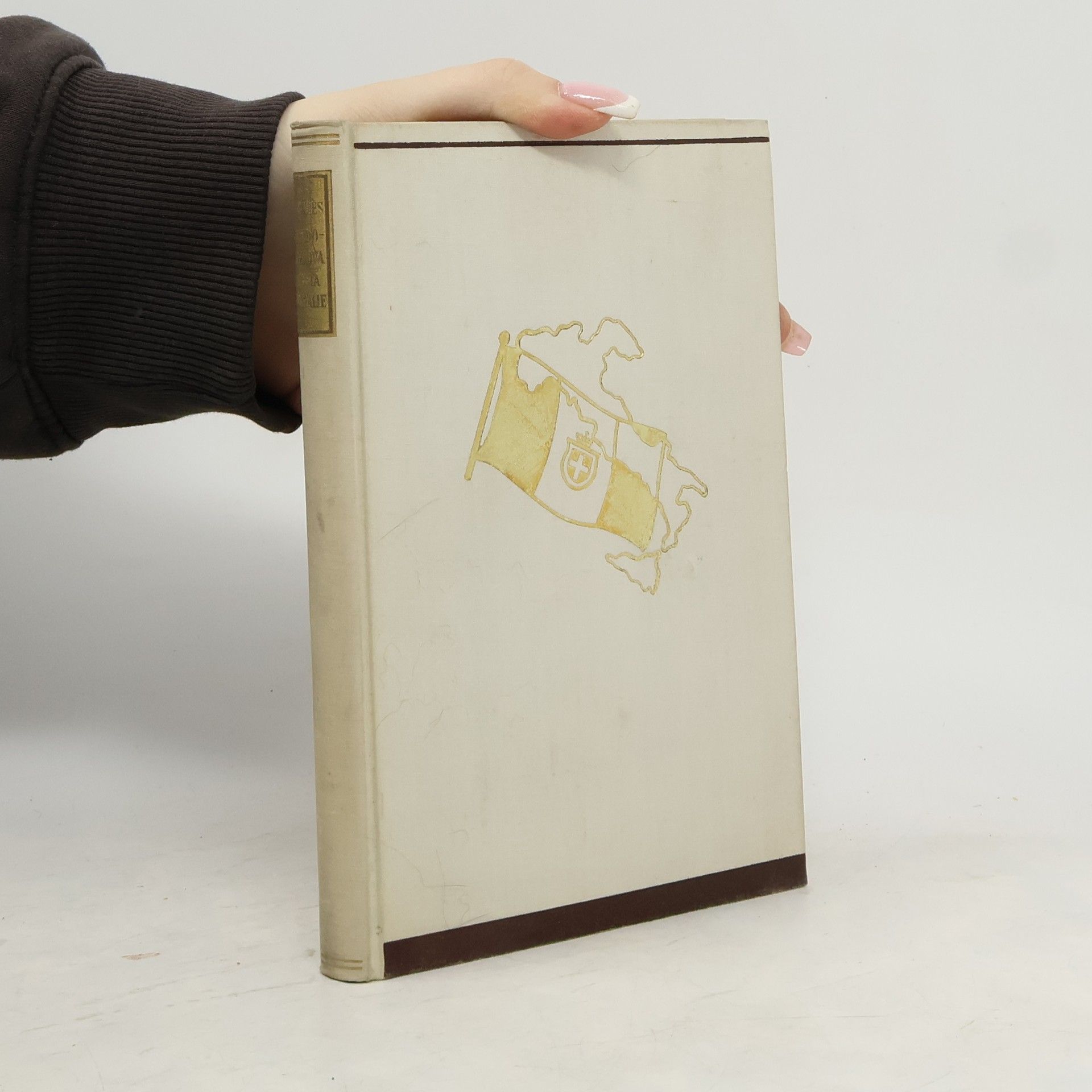 Kondotierova cesta do Italie I. Benátky