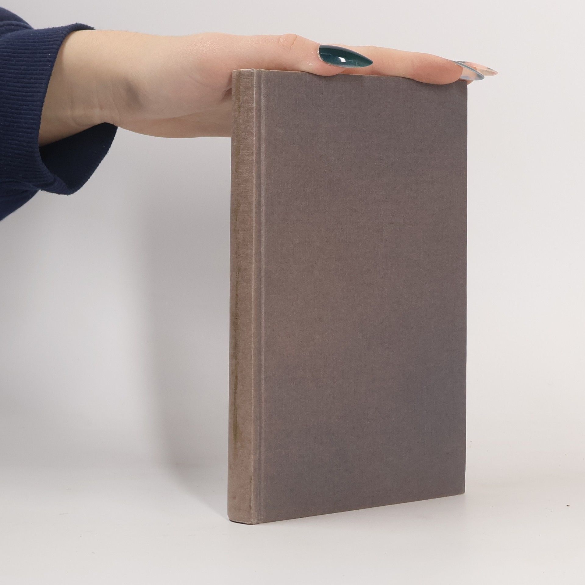 Ernst Benz Der Heilige Geist in Amerika