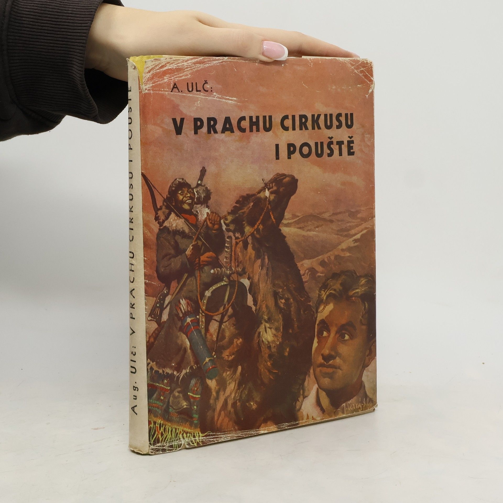 V prachu cirkusu i pouště