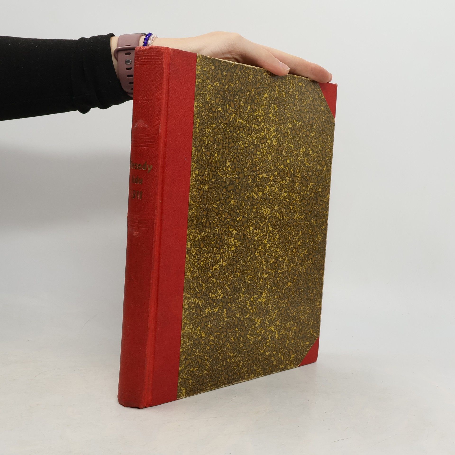 Karel Vika Besedy lidu XIX.