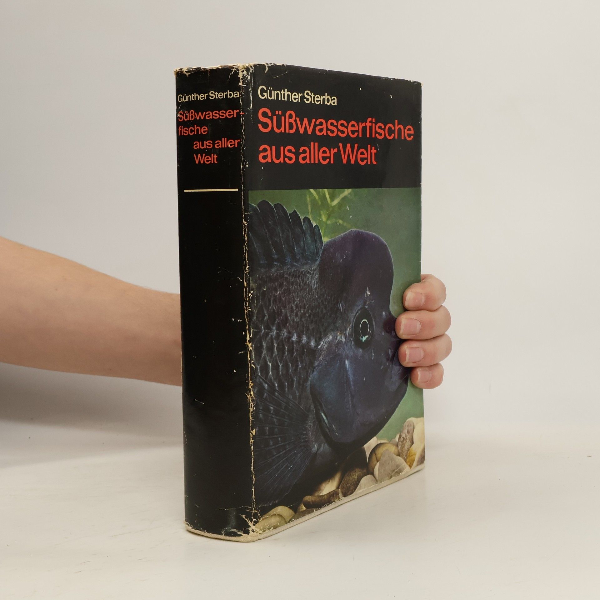 Günther Sterba Süßwasserfische aus aller Welt