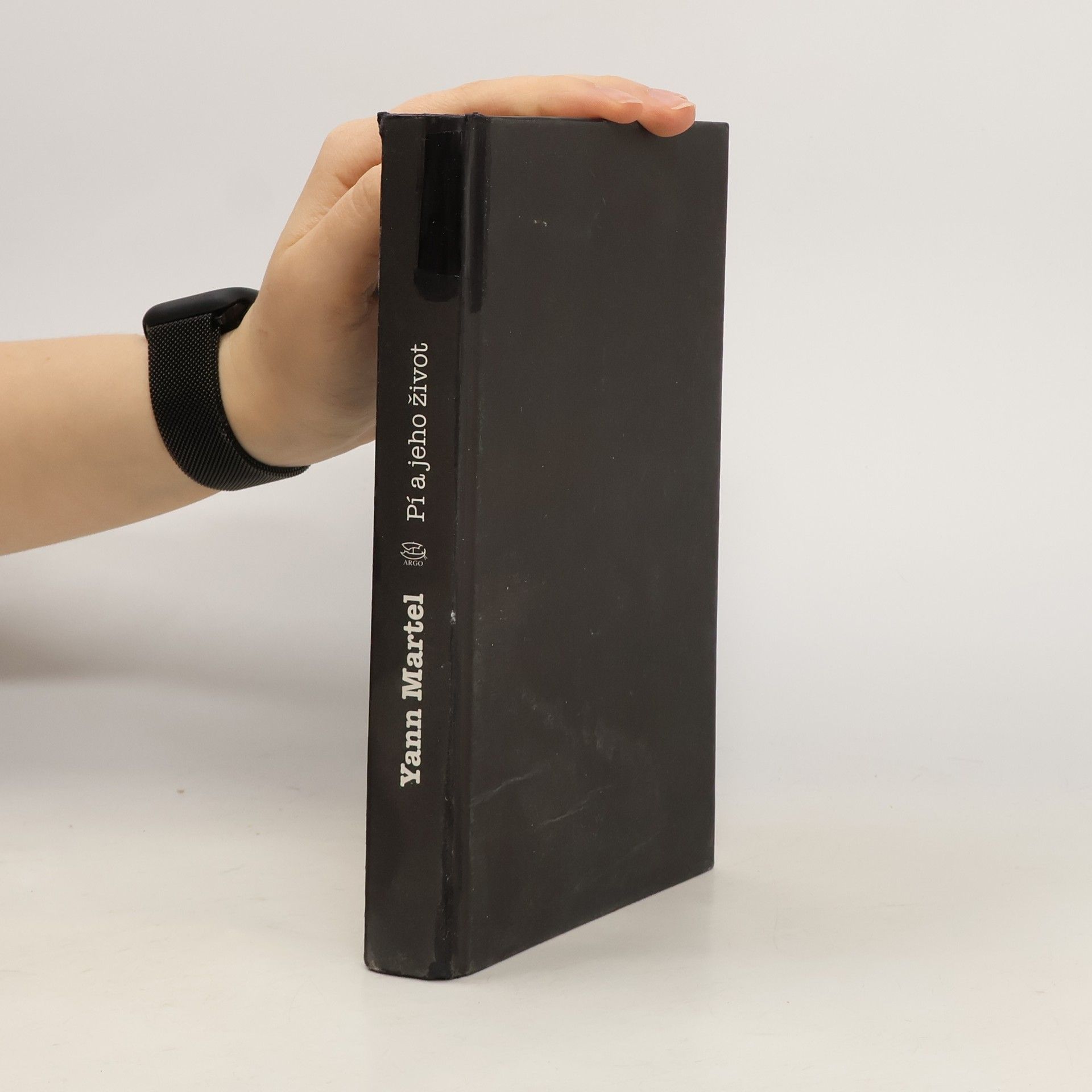 Yann Martel Pí a jeho život