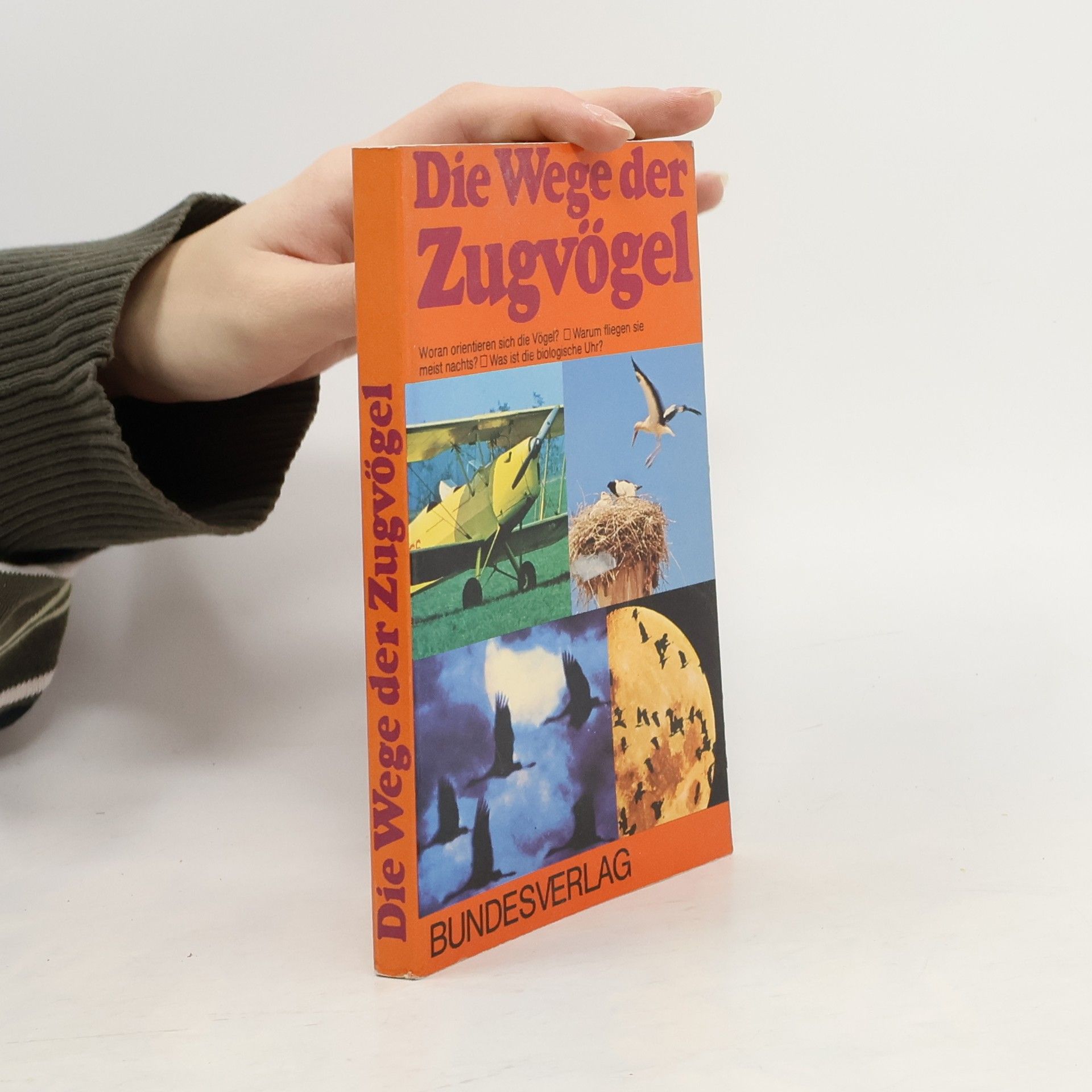 Autorenkollektiv Die Wege der Zugvögel