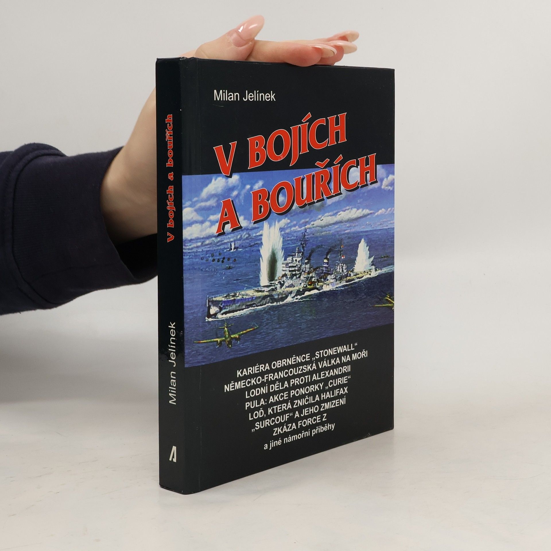 V bojích a bouřích