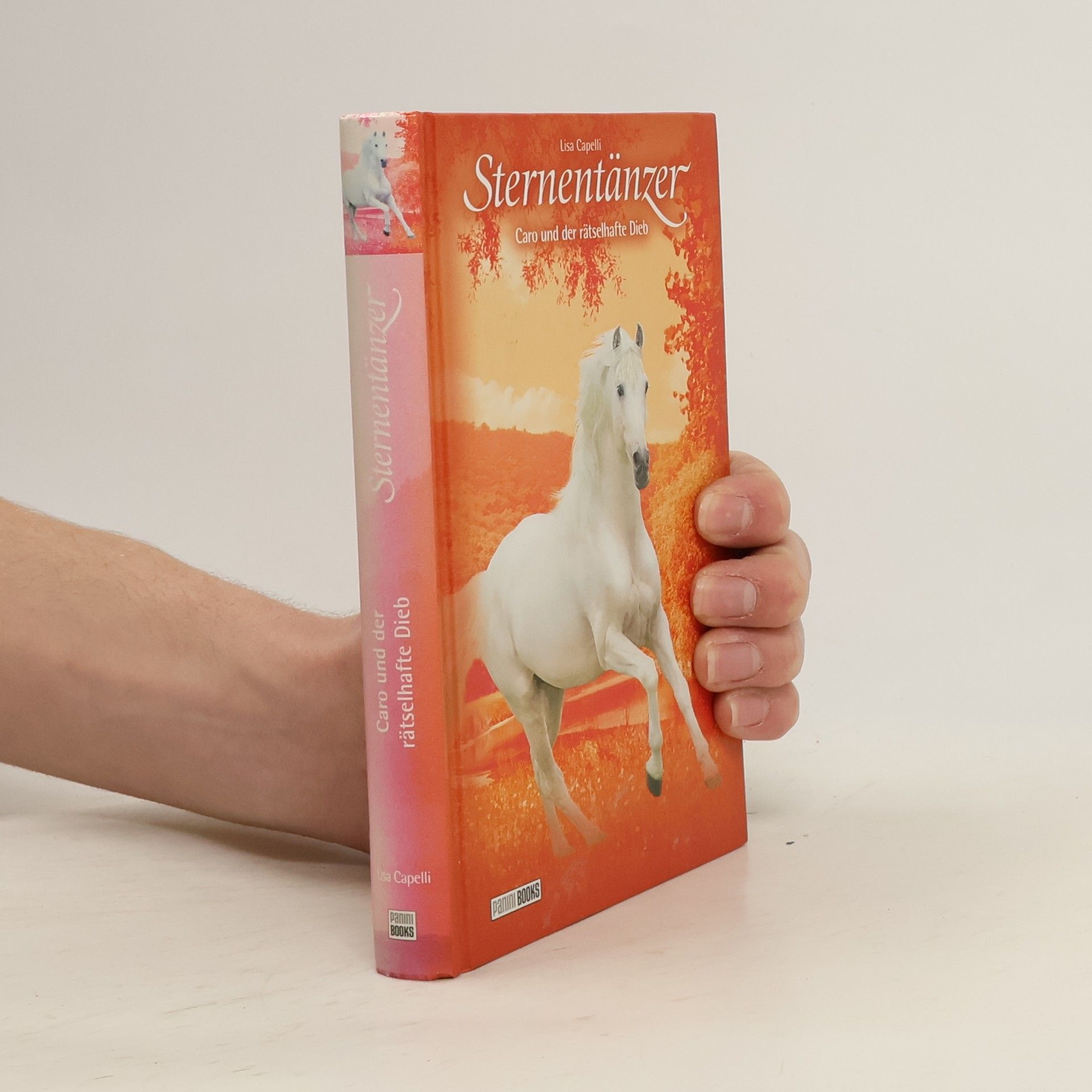 Sternentänzer - Caro und der rätselhafte Dieb