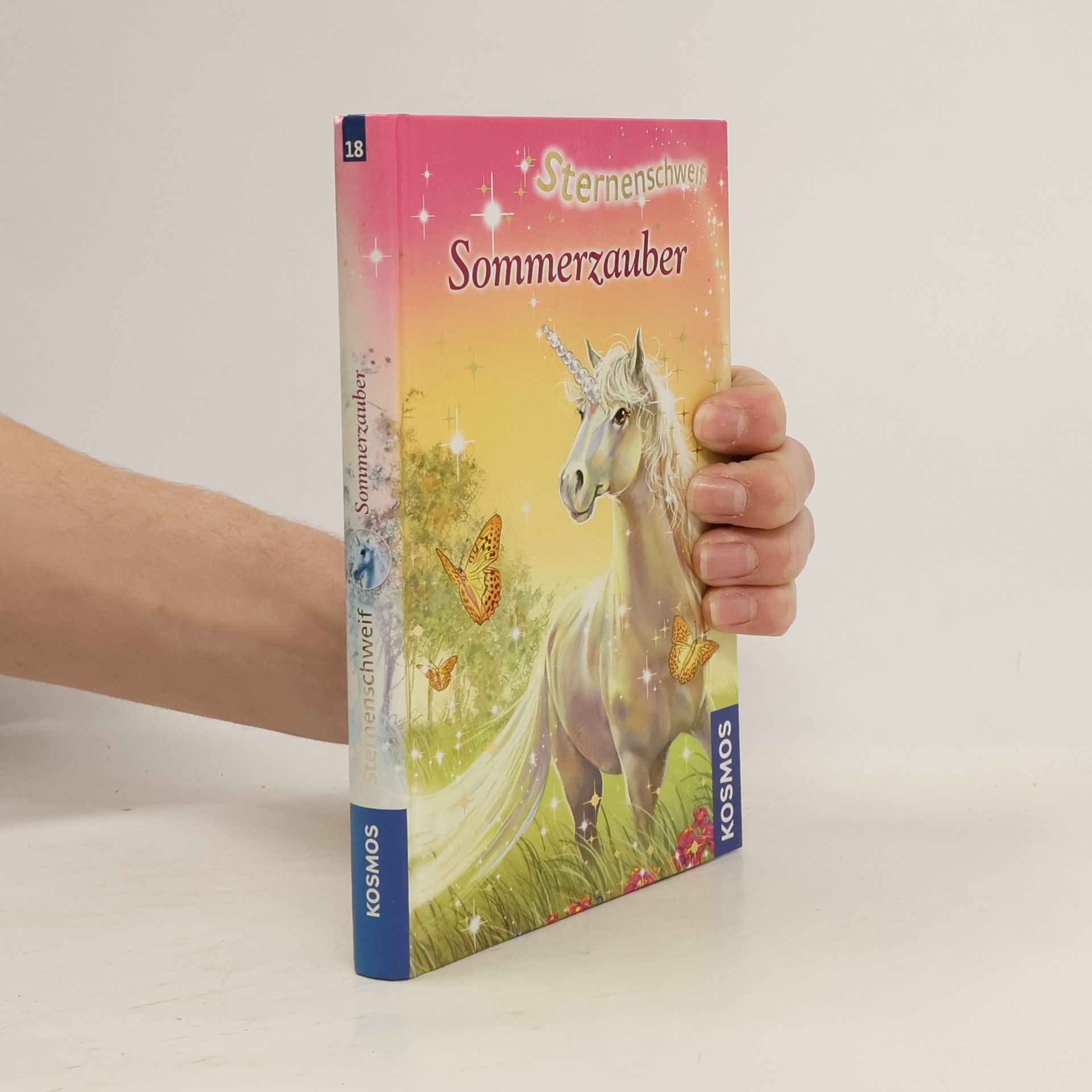 Linda Chapman Sternenschweif. Sommerzauber 18