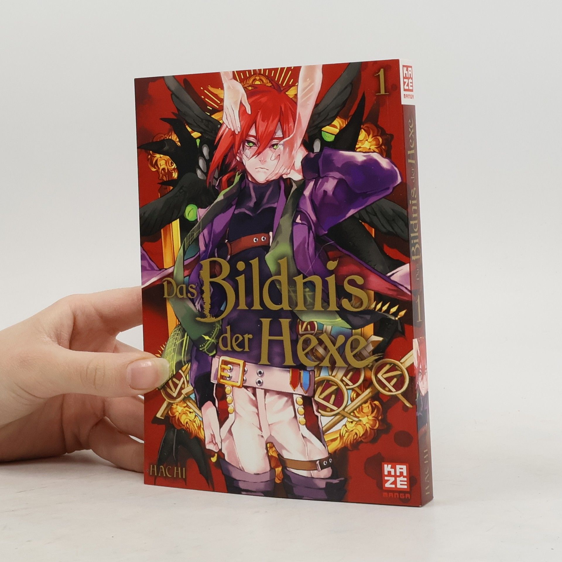 Hachi Das Bildnis der Hexe