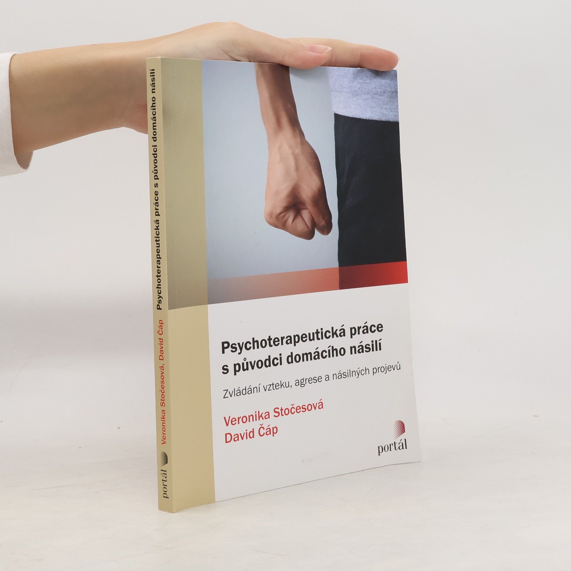 David Čáp Psychoterapeutická práce s původci domácího násilí