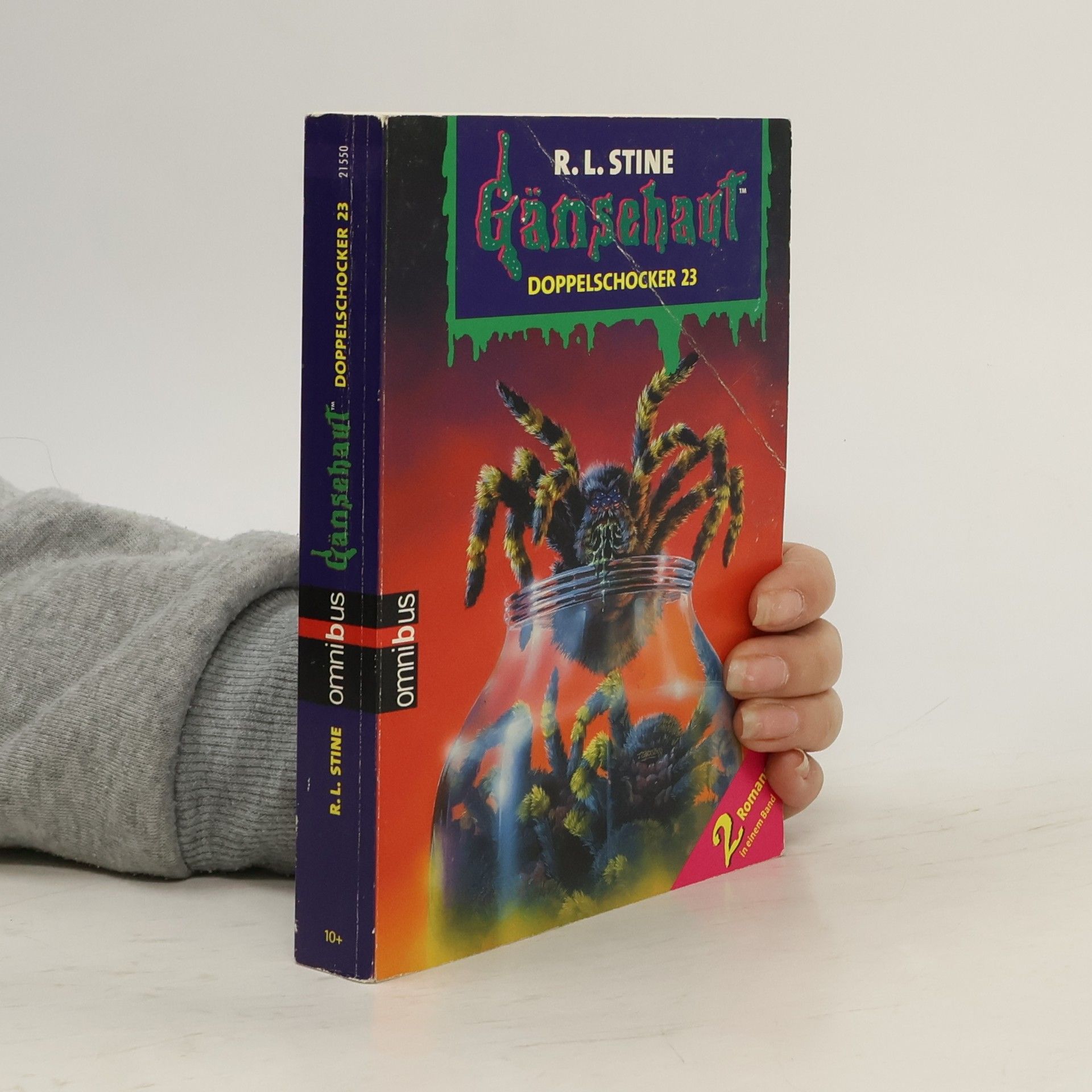 R. L. Stine Gänsehaut - Doppelschocker 23. Ab 10