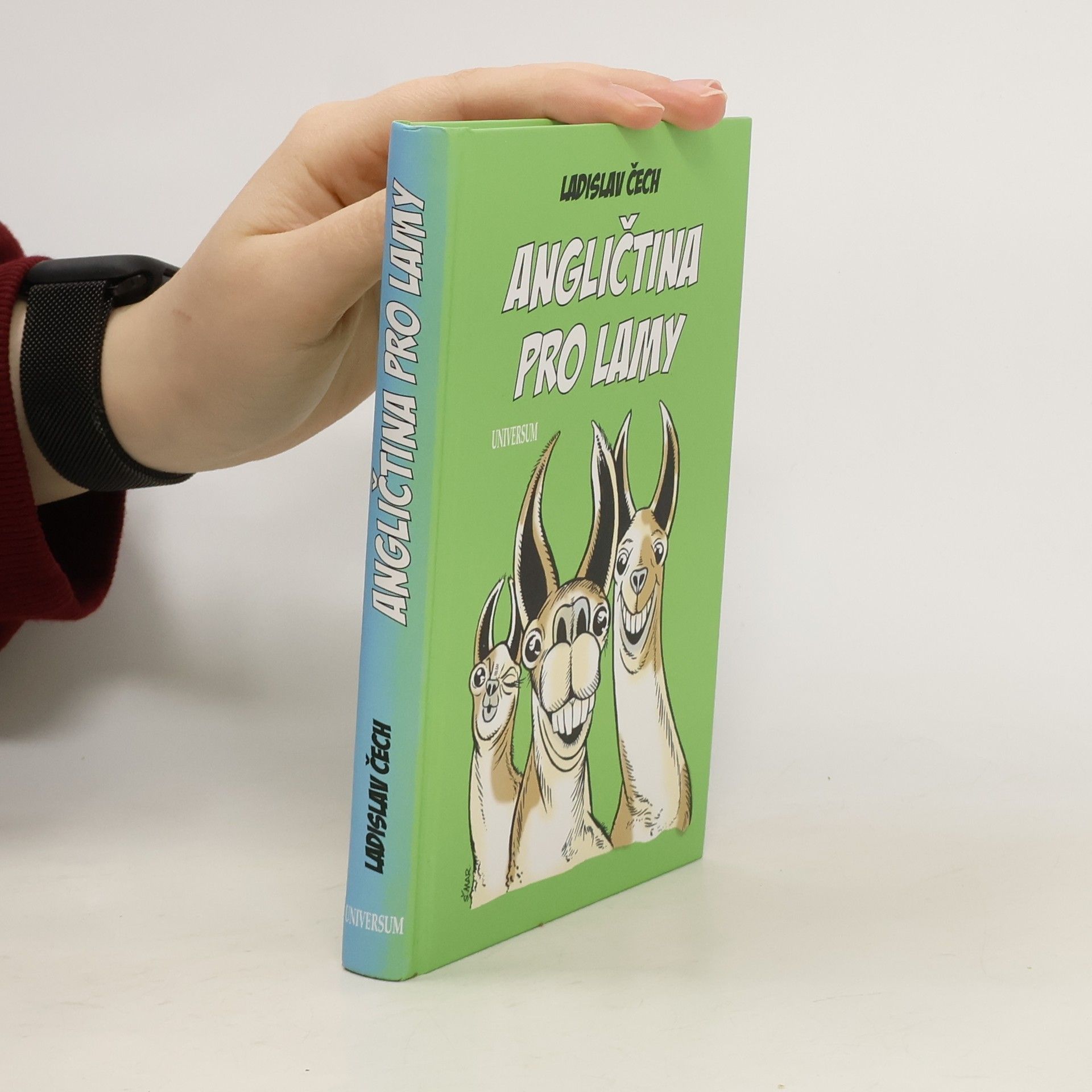 Ladislav Čech Angličtina pro lamy