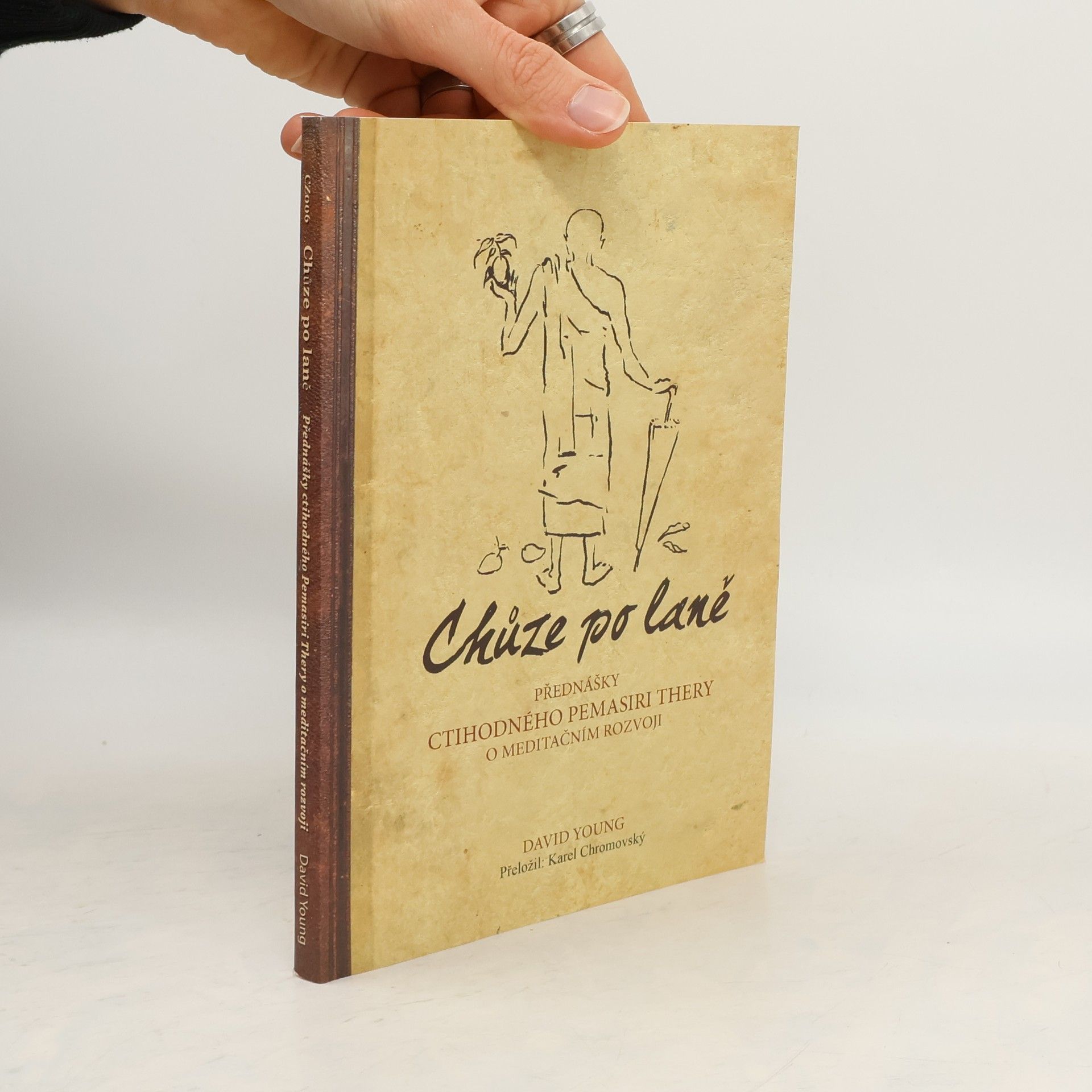 Chůze po laně. Přednášky ctihodného Pemasiri Thery o meditačním rozvoji