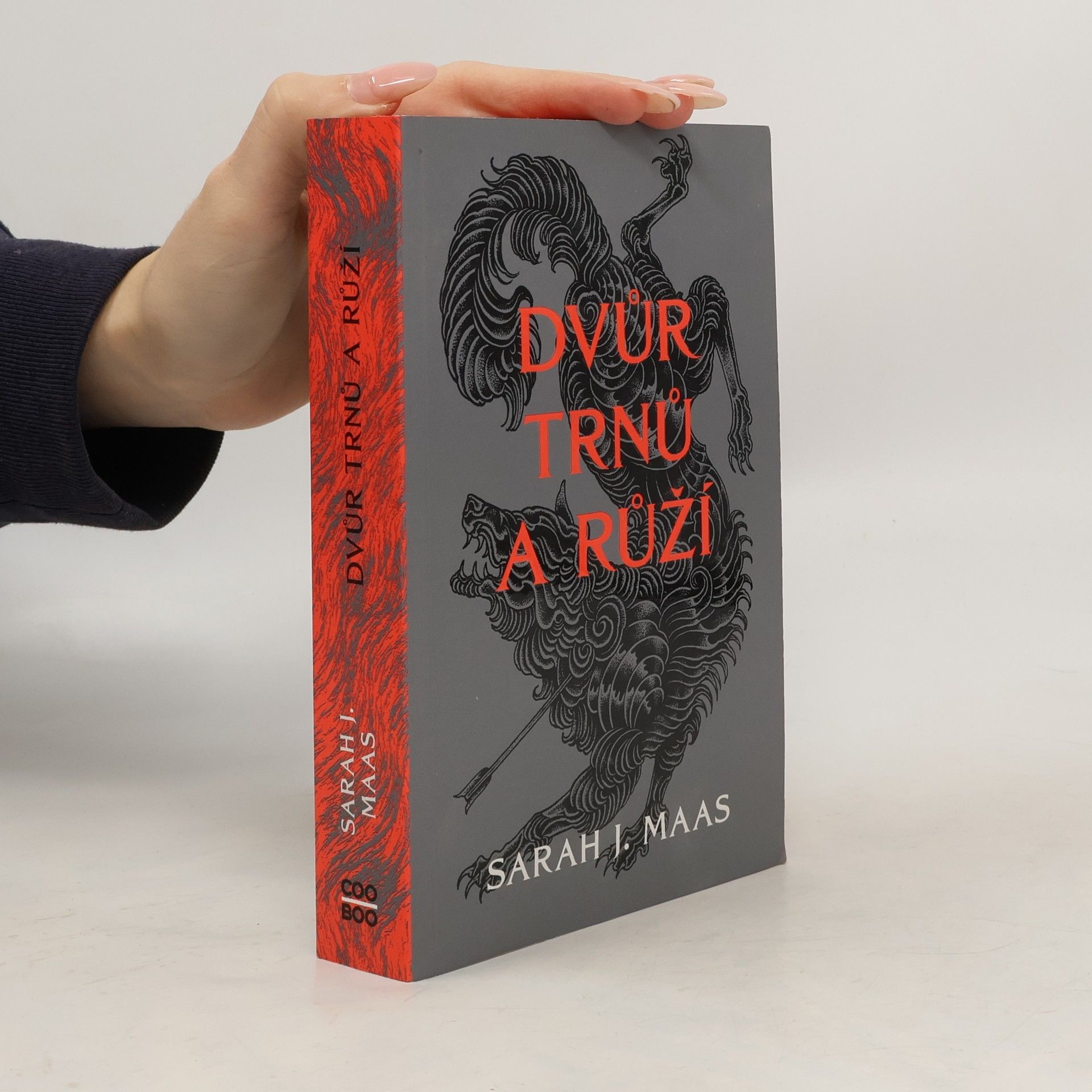 Sarah J. Maas Dvůr trnů a růží