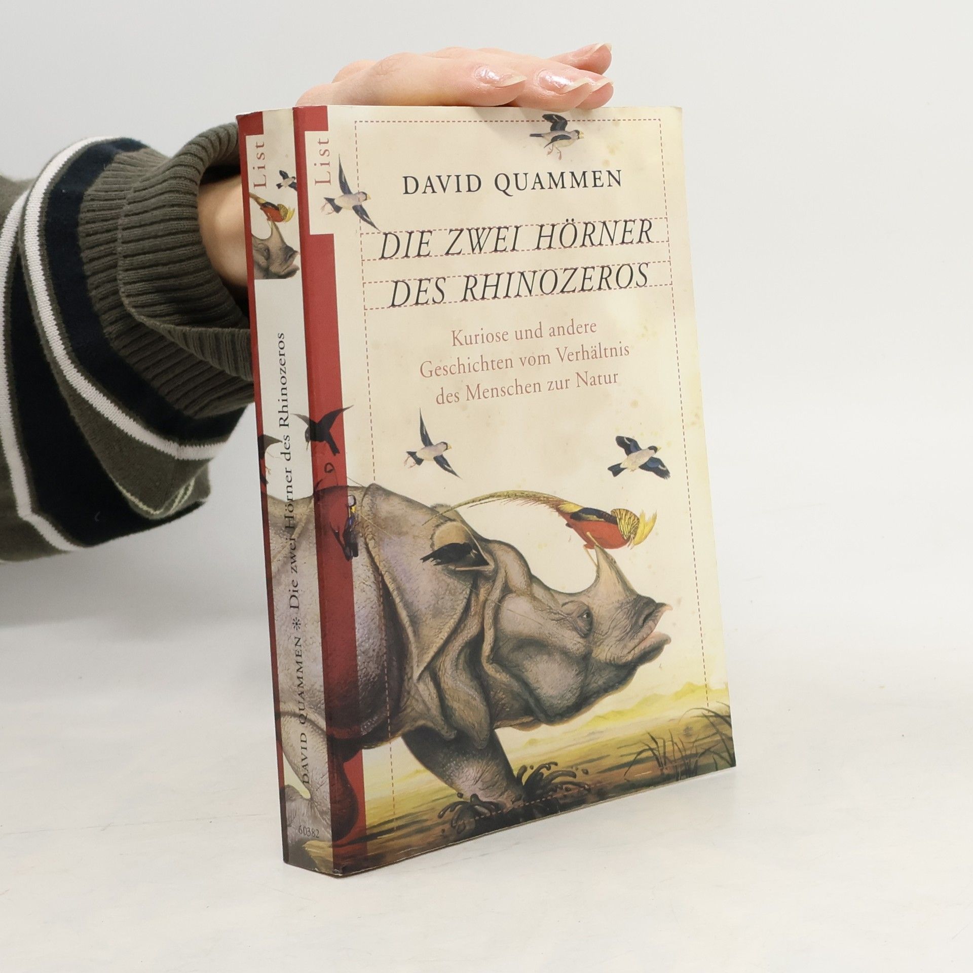 Die zwei Hörner des Rhinozeros