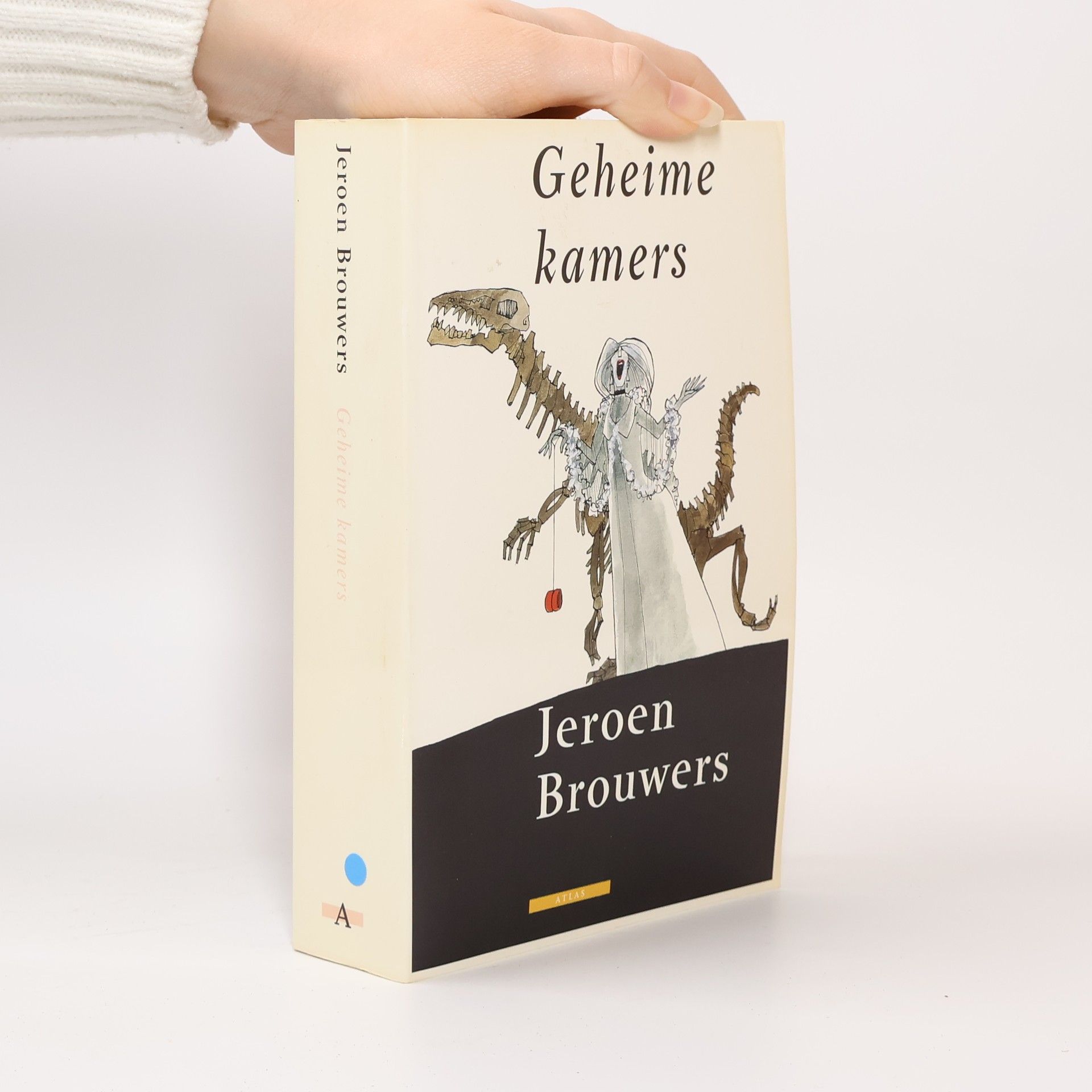 Jeroen Brouwers Geheime kamers