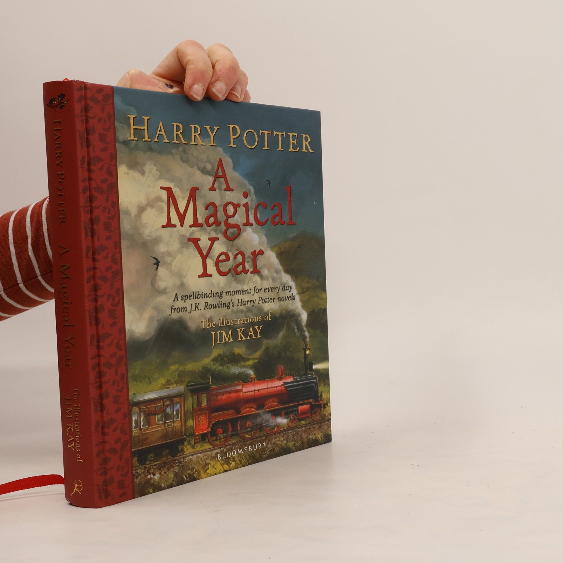 Harry Potter. A Magical Year
