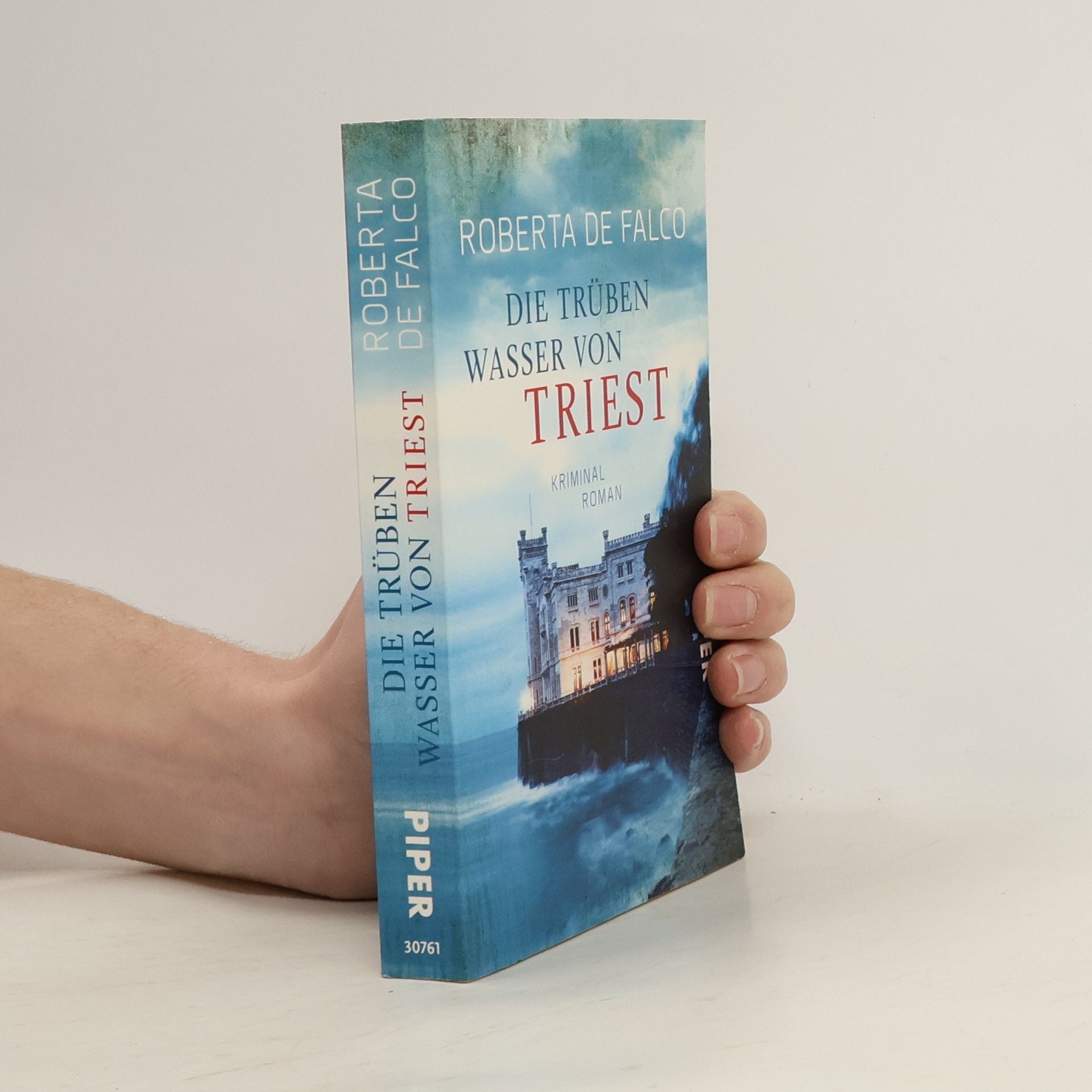 Roberta de Falco Die trüben Wasser von Triest