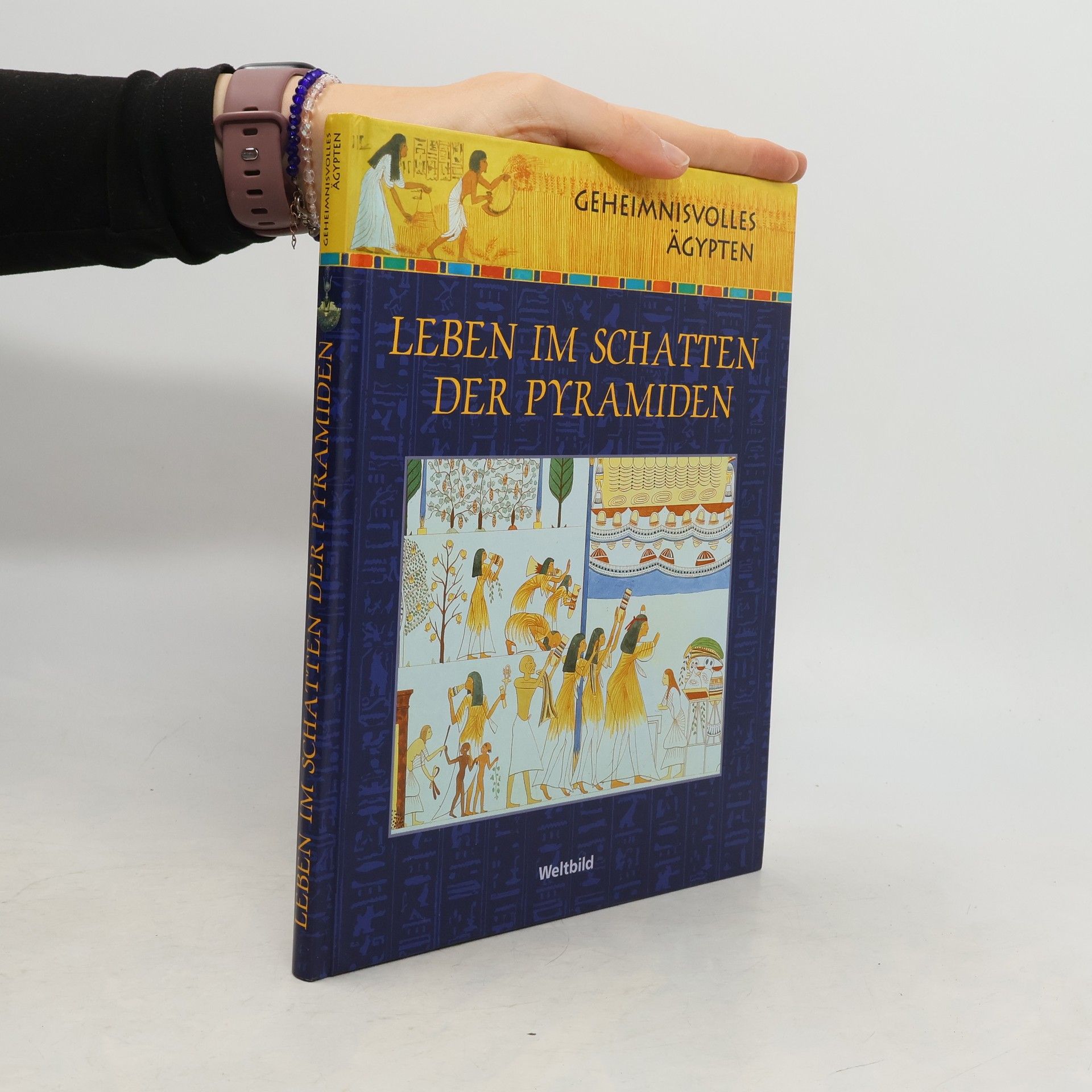 AA.VV. Leben im Schatten der Pyramiden
