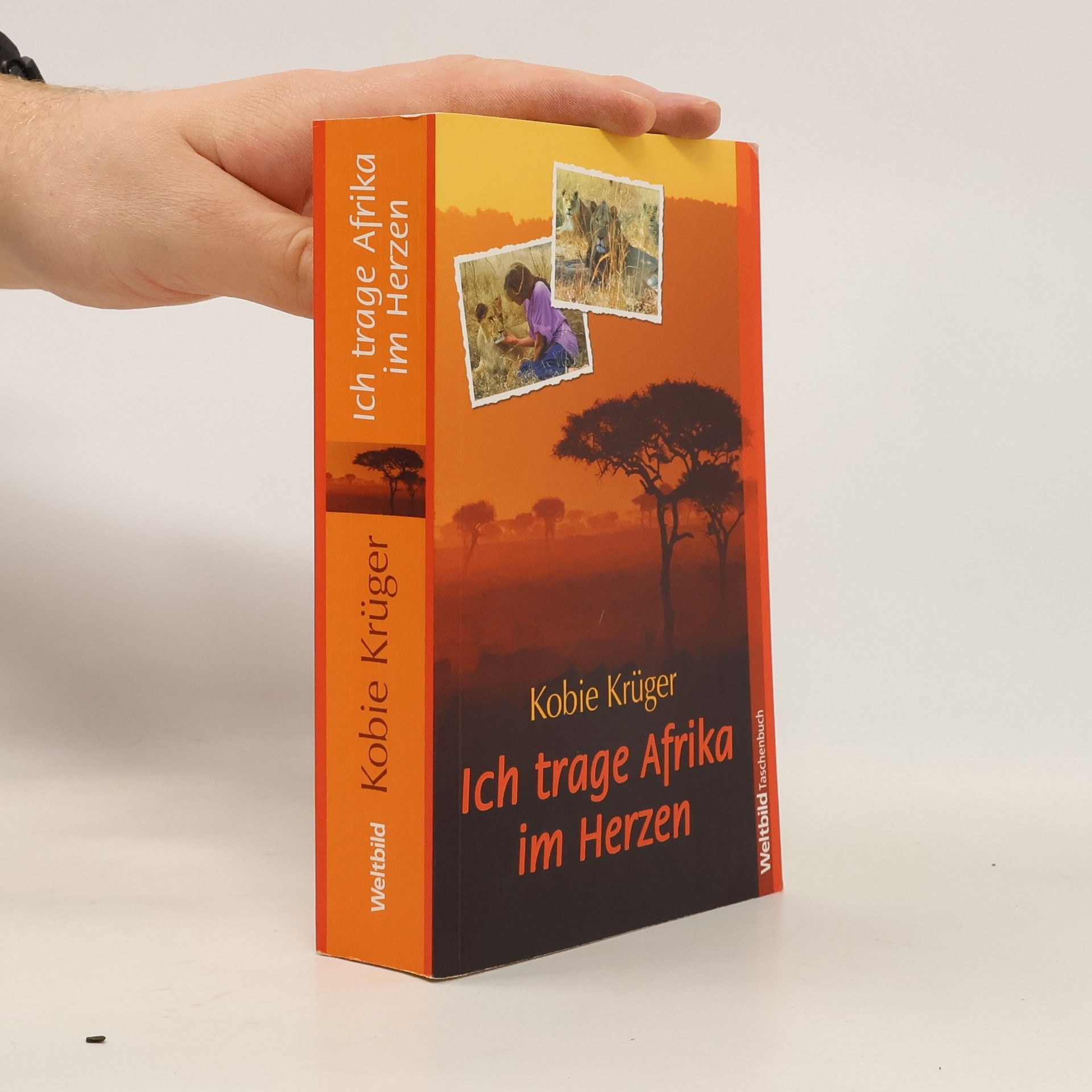 Kobie Krüger Ich trage Afrika im Herzen