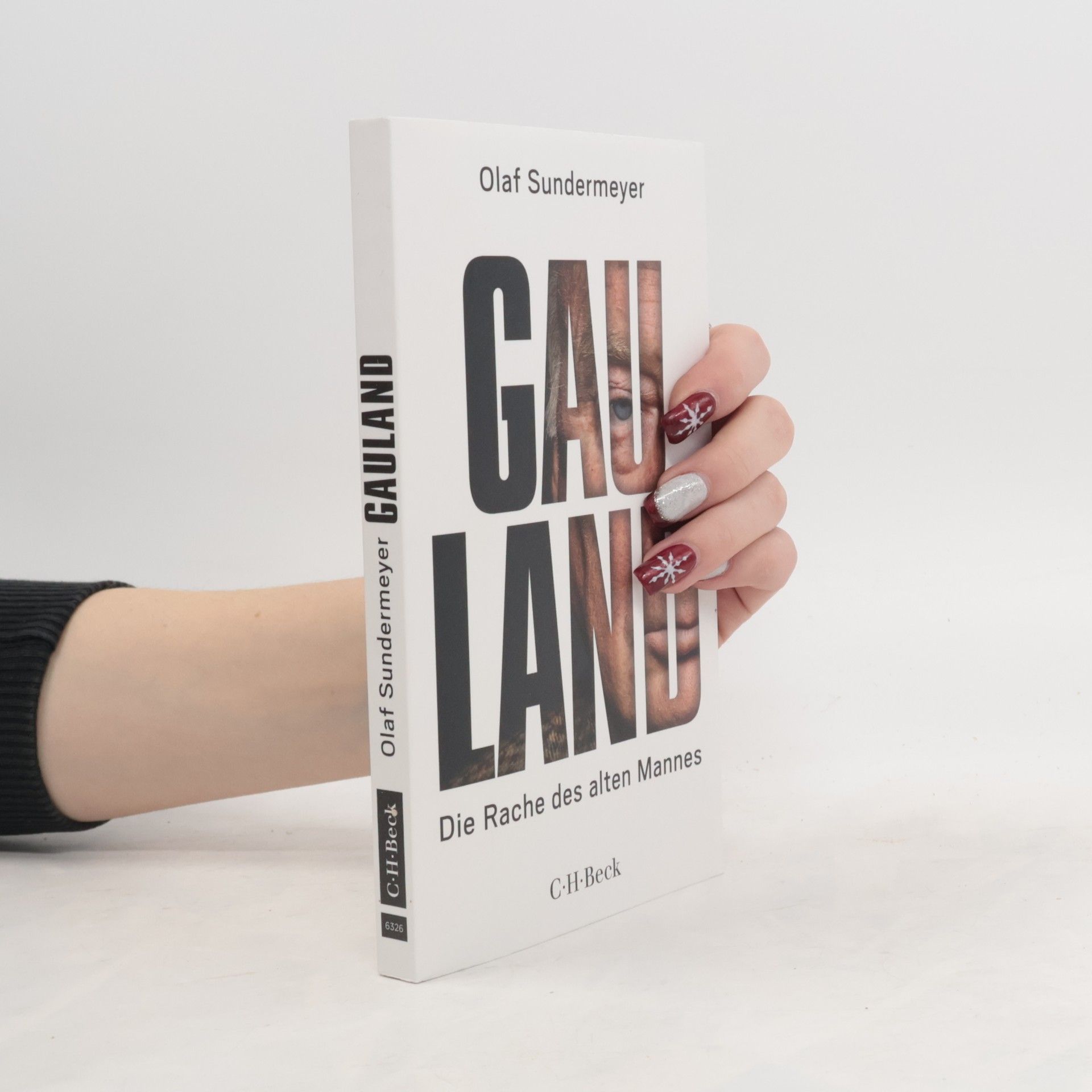 Olaf Sundermeyer Gauland