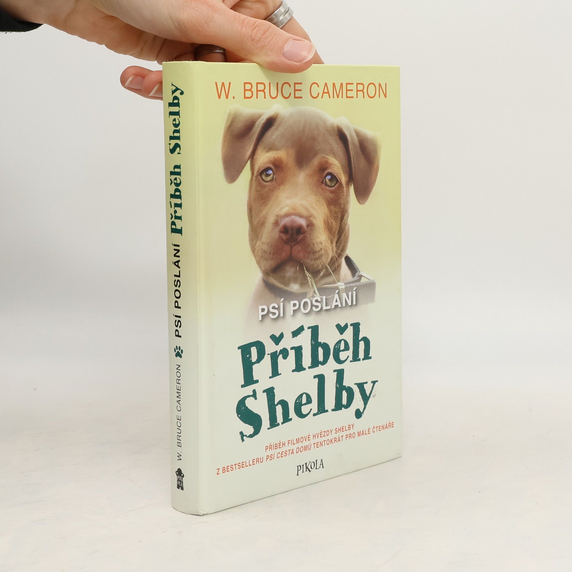 Psí poslání. Příběh Shelby